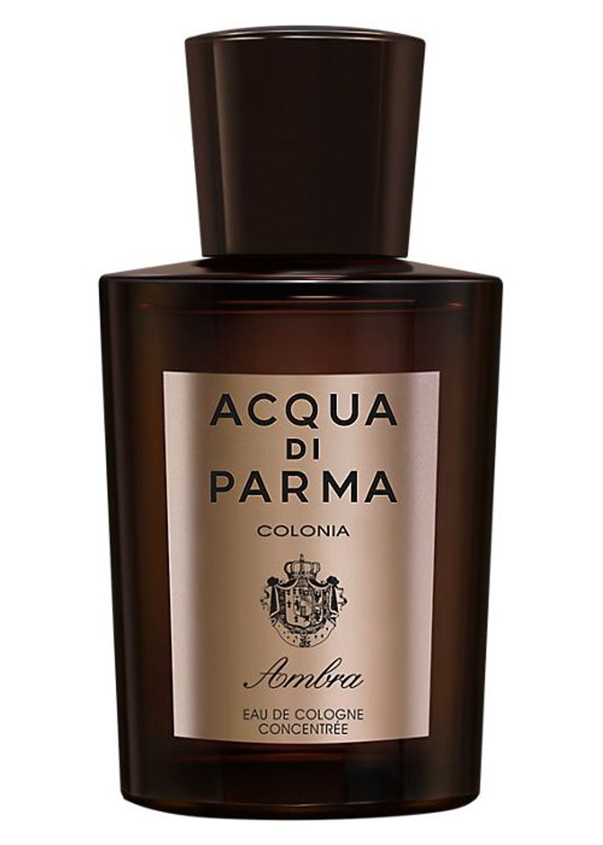Colonia Ambra