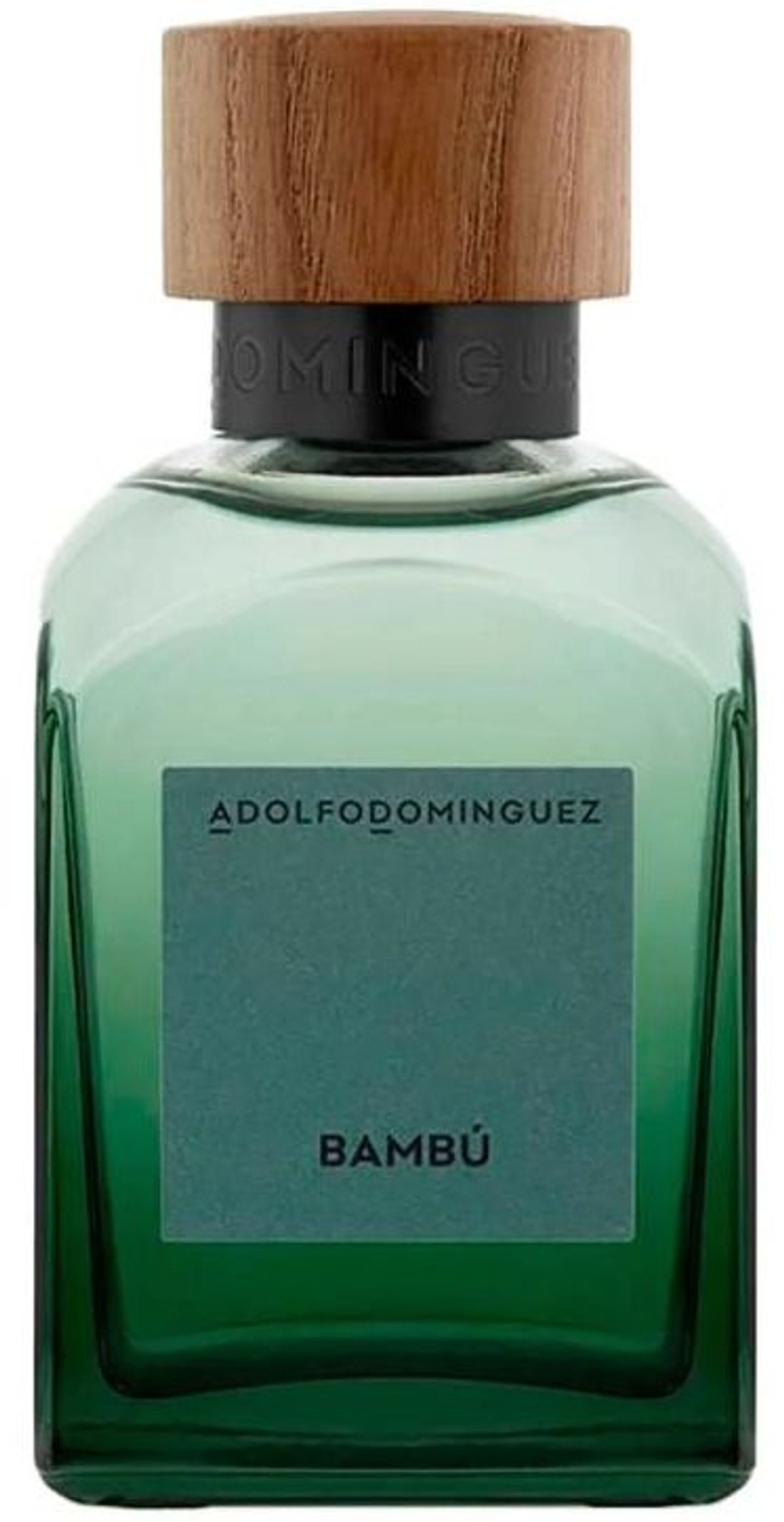 Bambú 2024