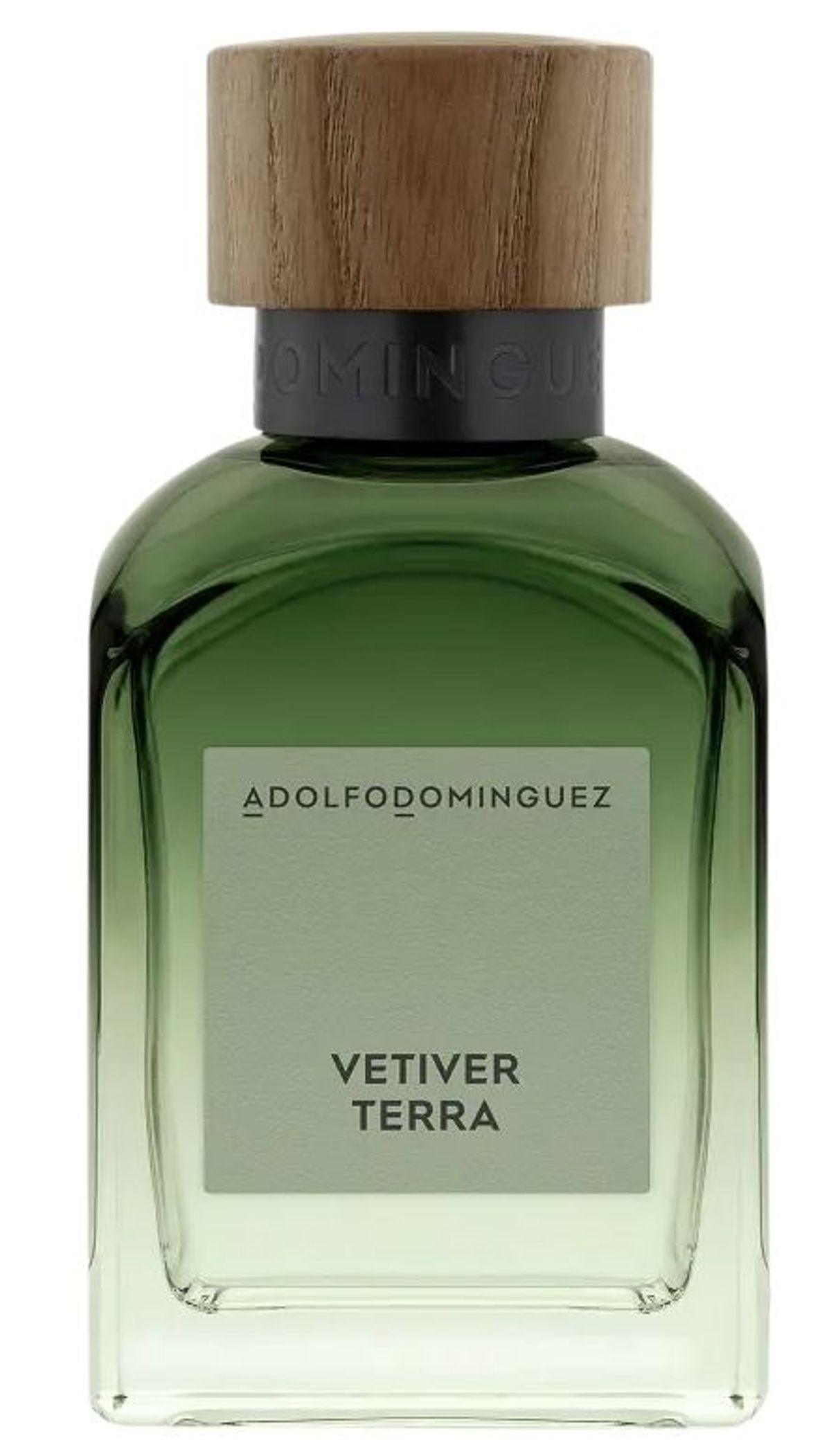 Vetiver Terra