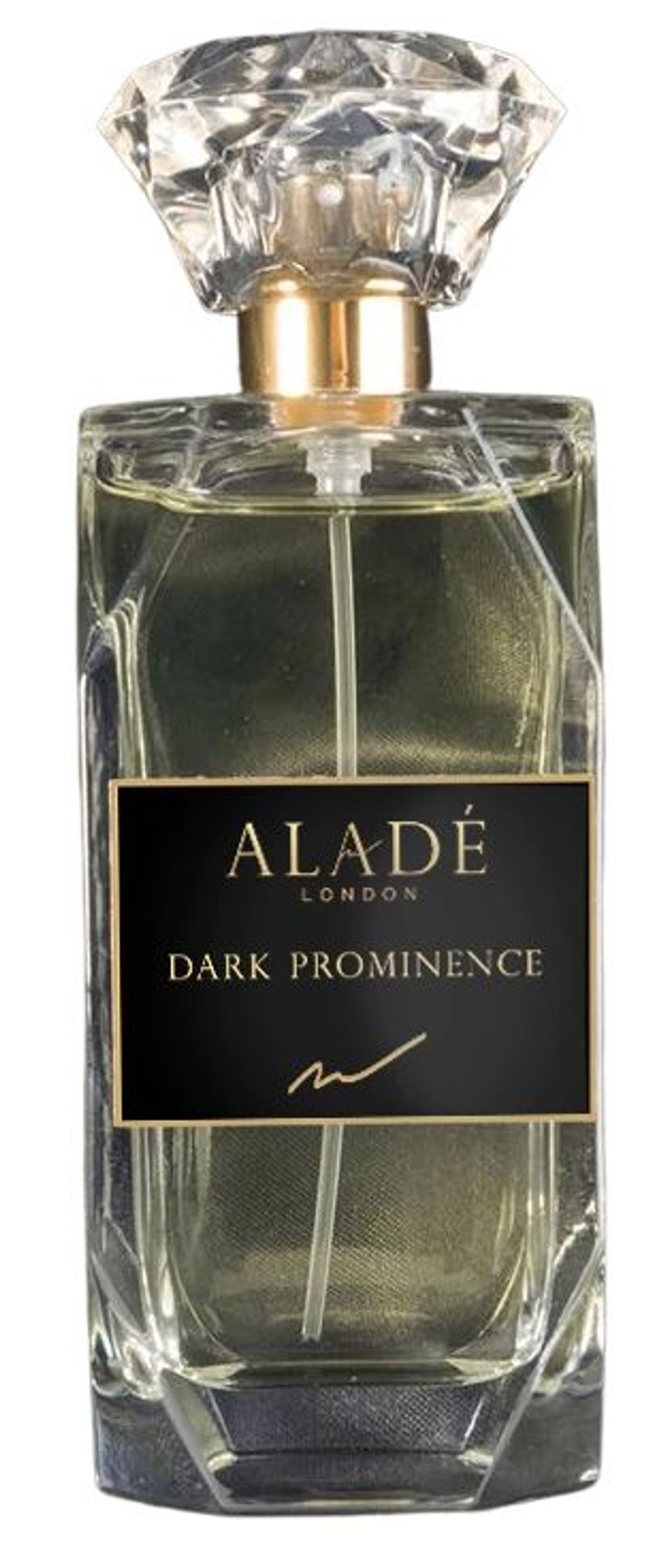 Dark Prominence