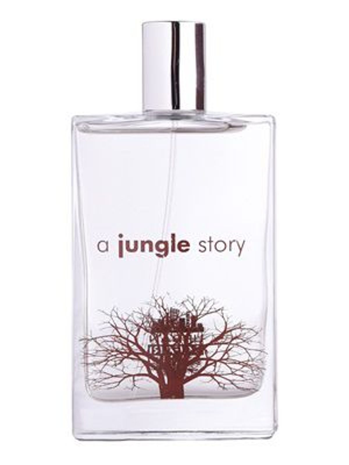 Urban Safari A Jungle Story