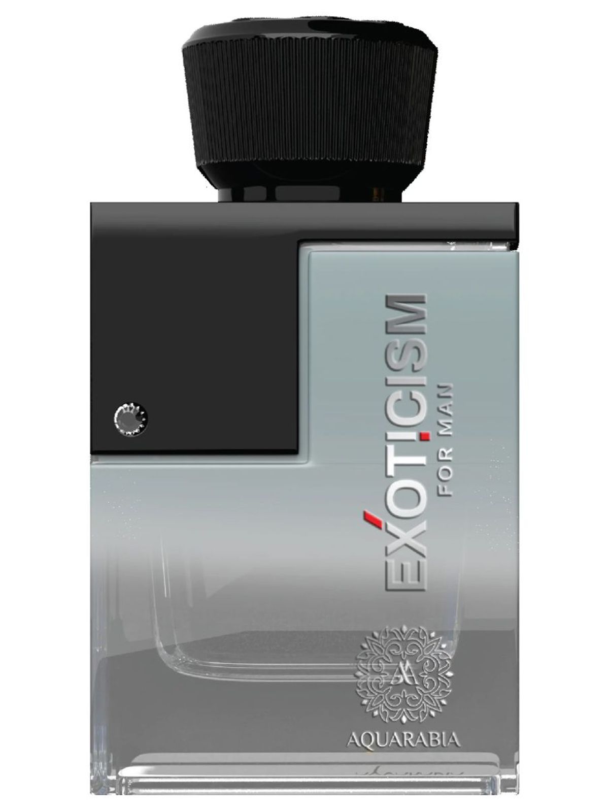 Exoticism Grey for Men