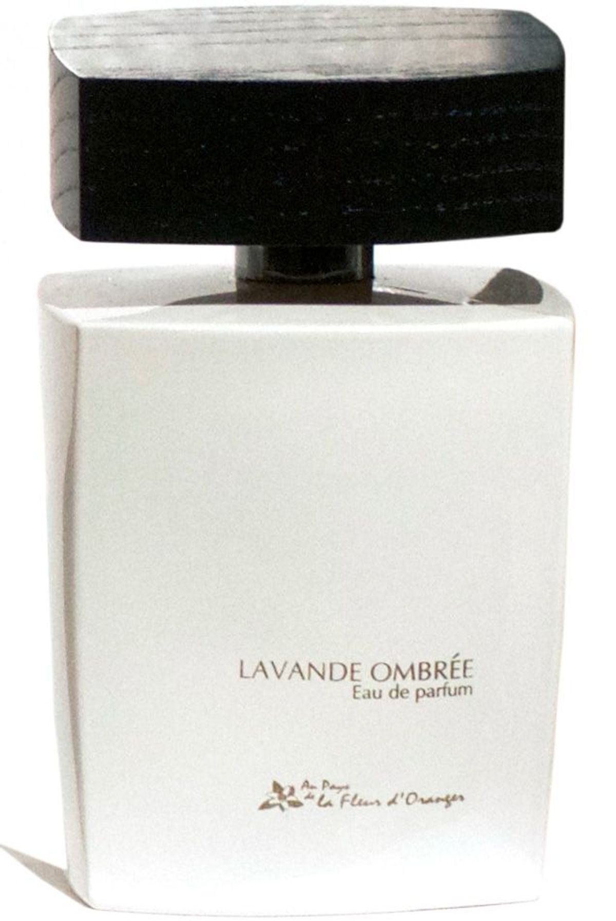 Lavande Ombree