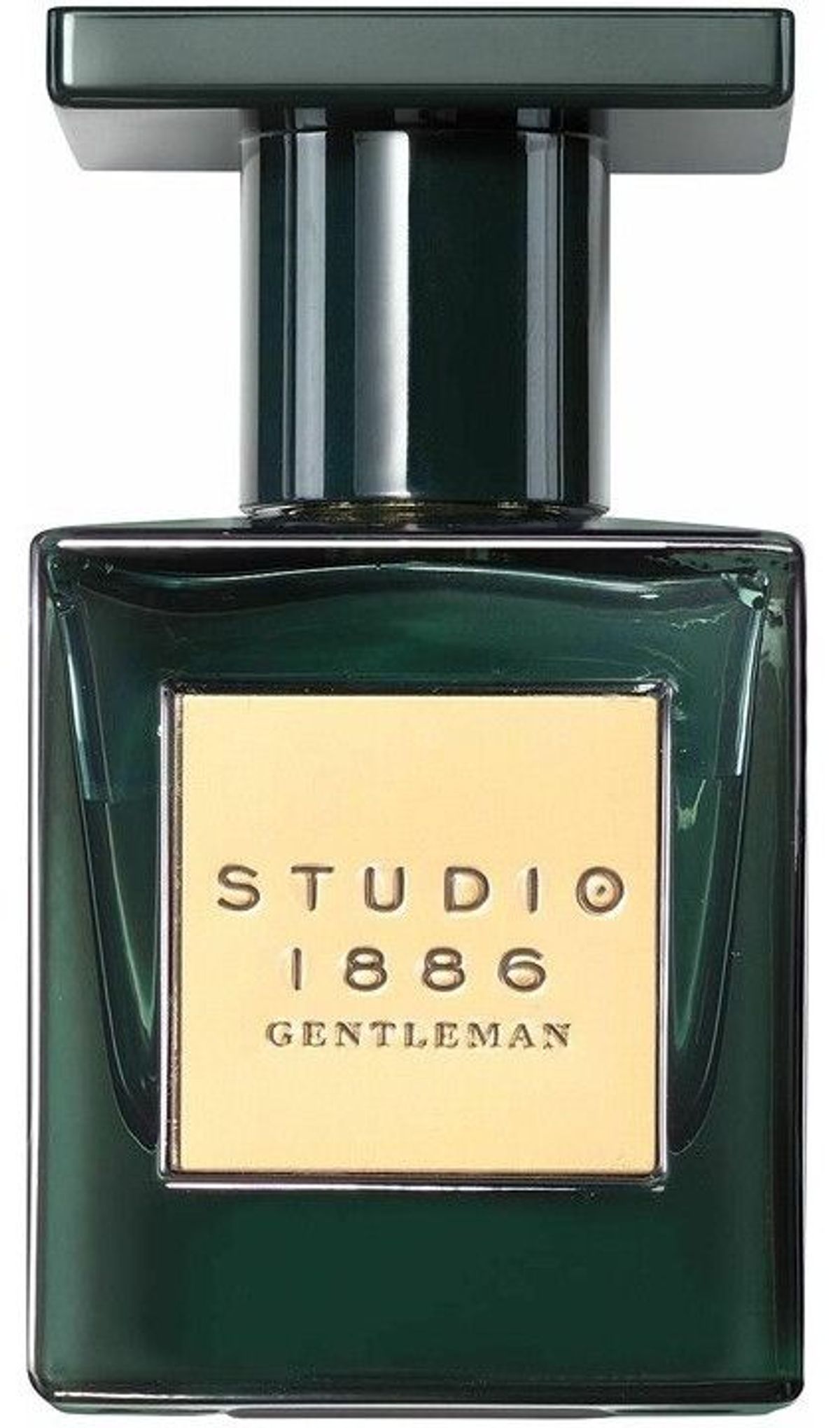 Studio 1886 Gentleman