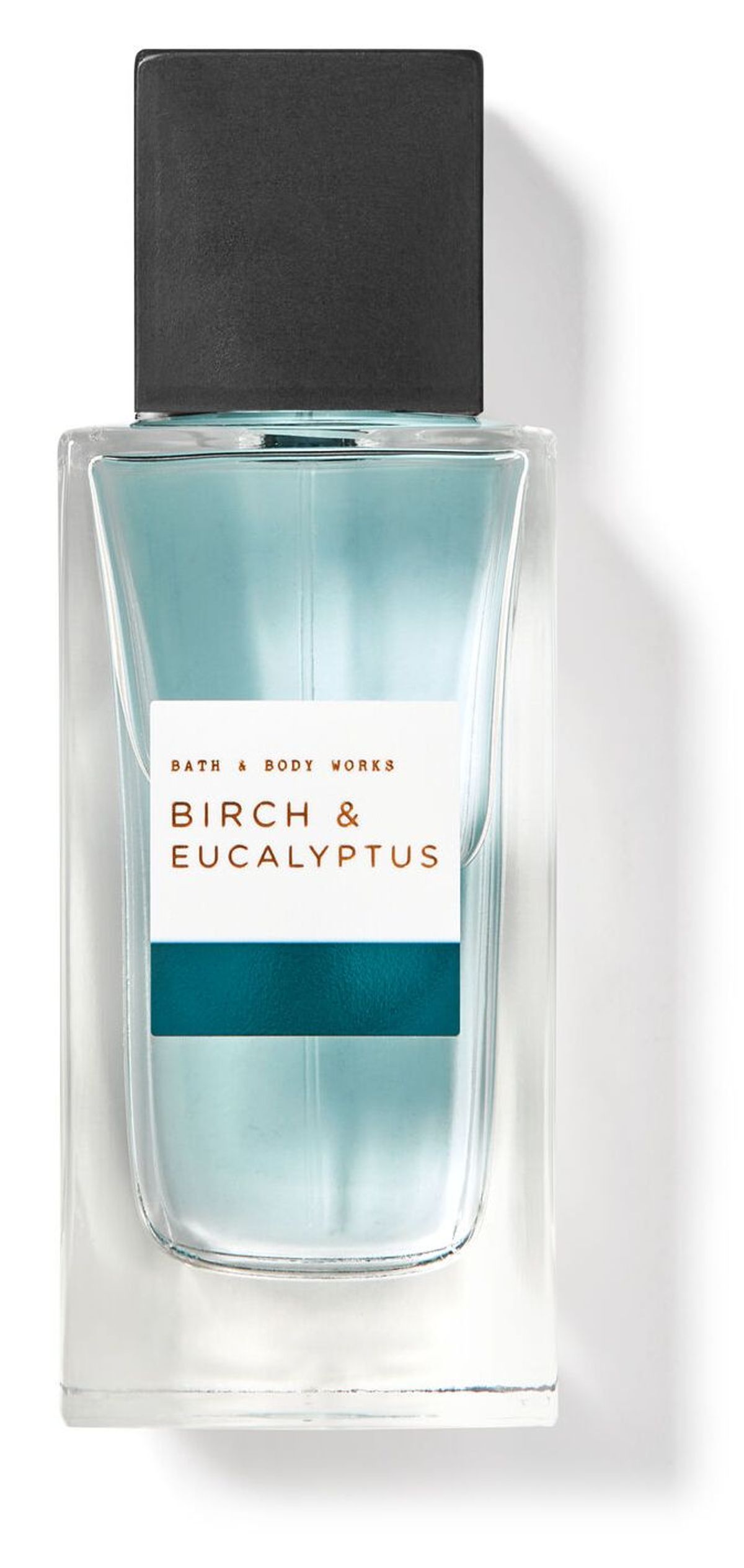 Birch & Eucalyptus