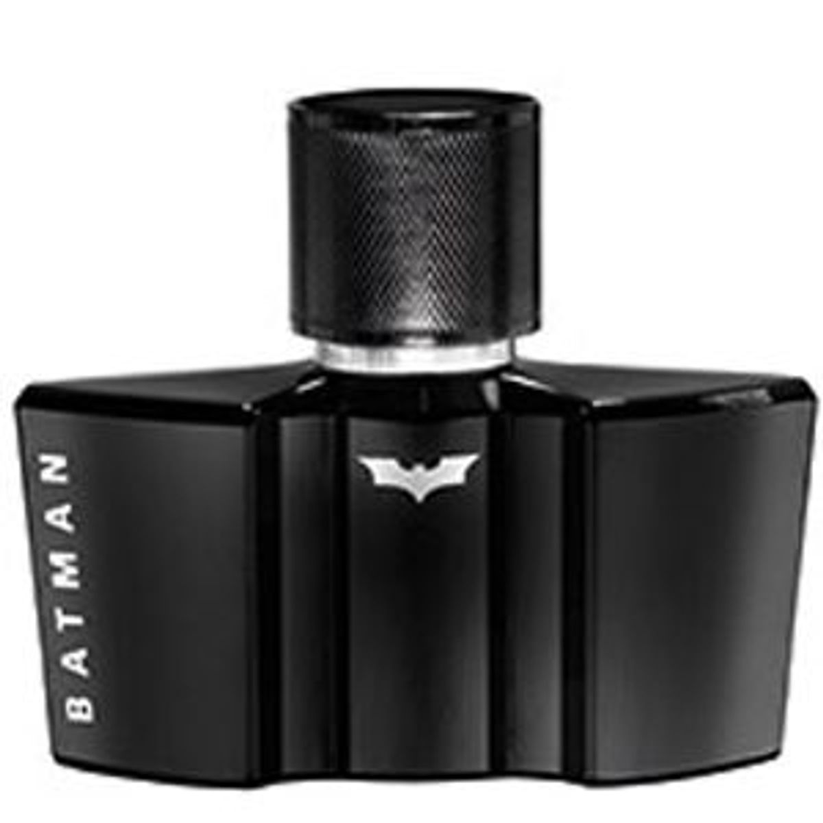 Batman The Dark Night Rises