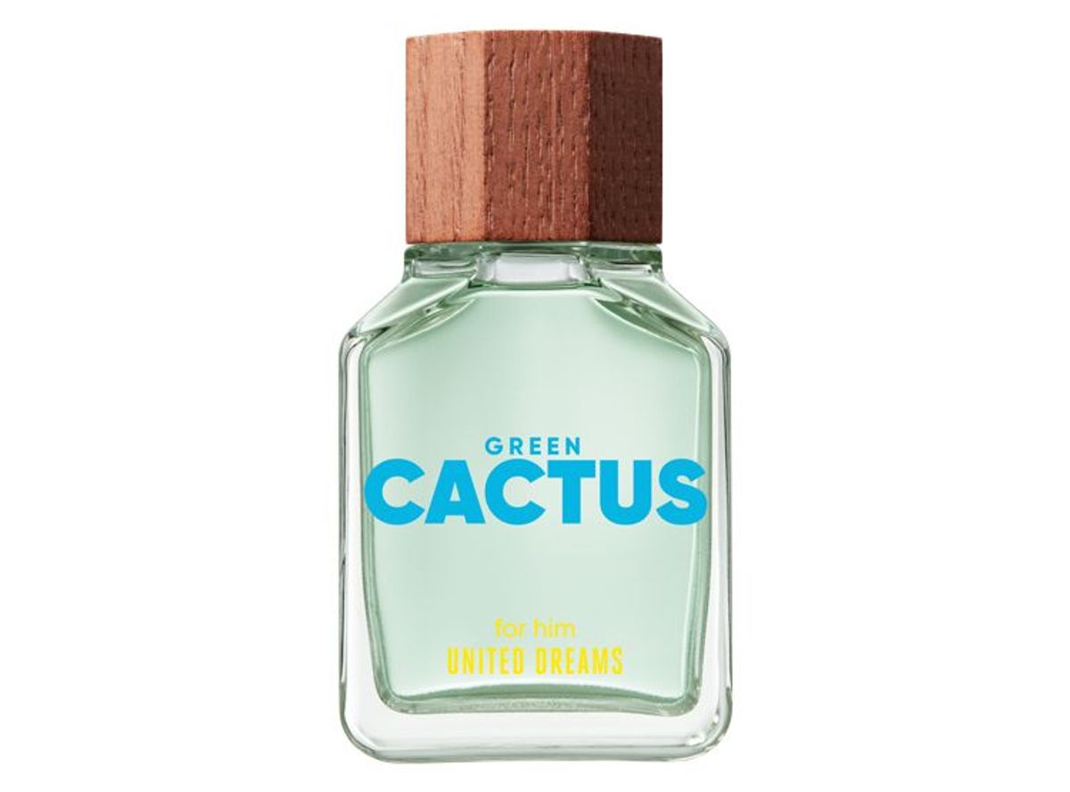 United Dreams Green Cactus For Him