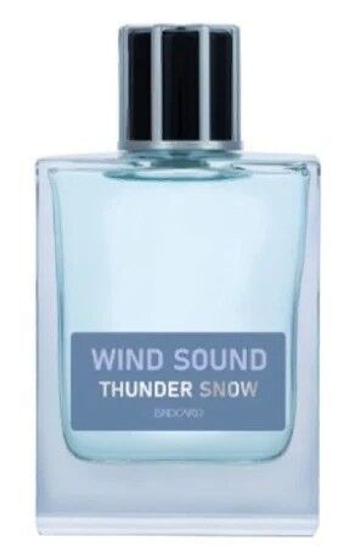 Thunder Snow
