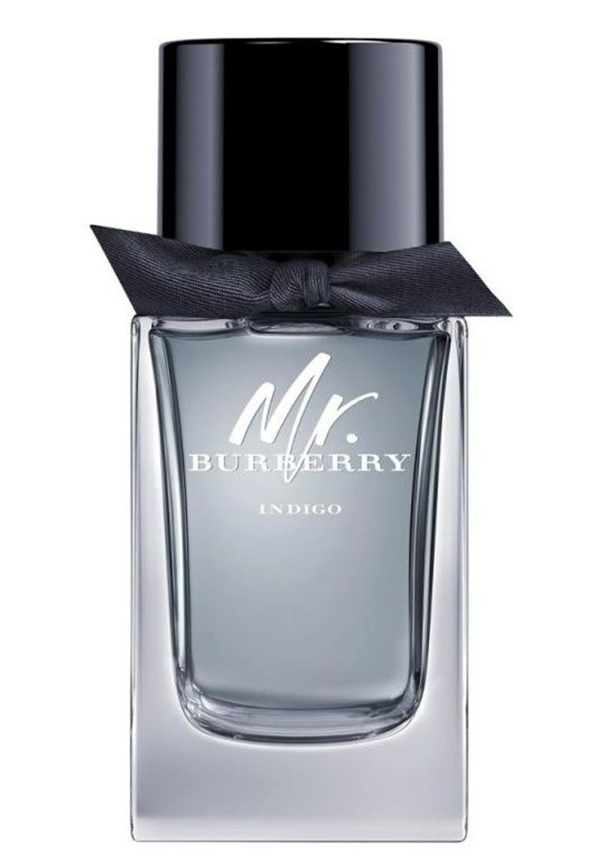 Mr. Burberry Indigo