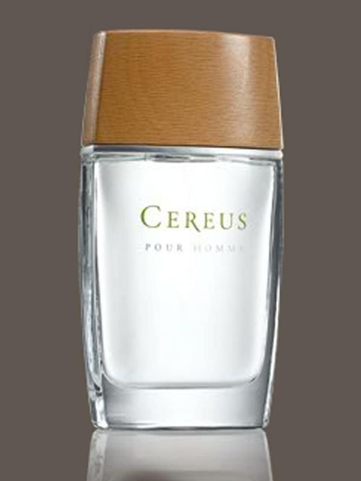 Cereus No.4