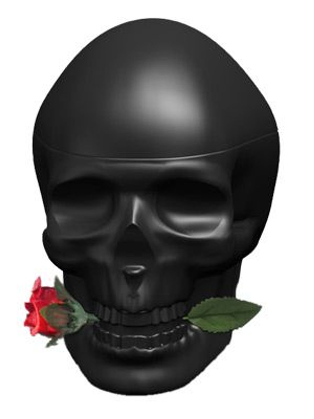 Ed Hardy Skulls & Roses for Him