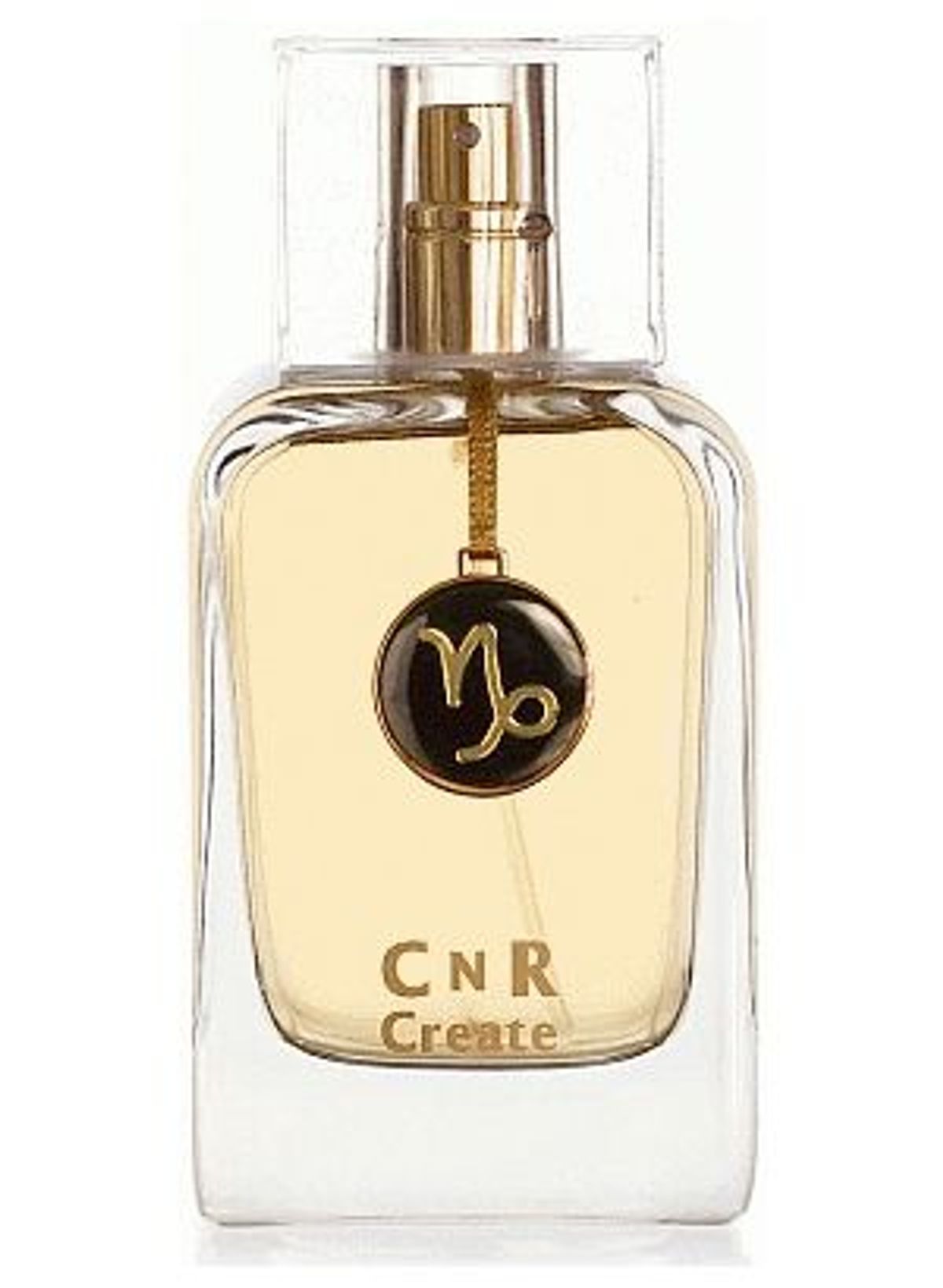 Capricorn for Men