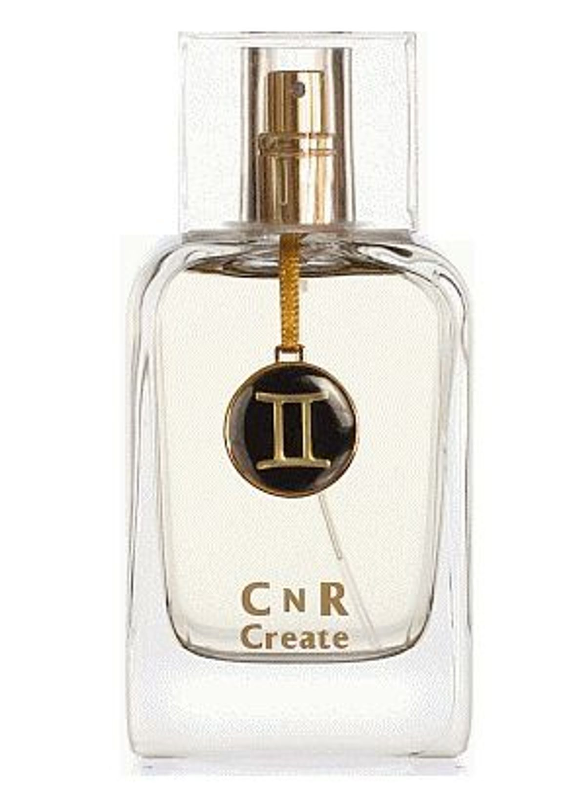Gemini for Men