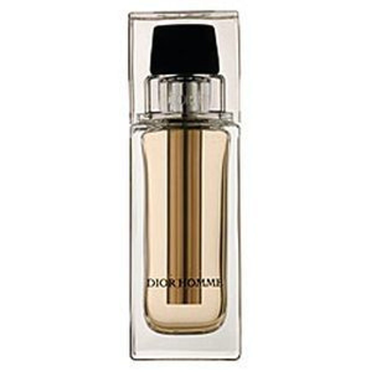 Dior Homme Voyage