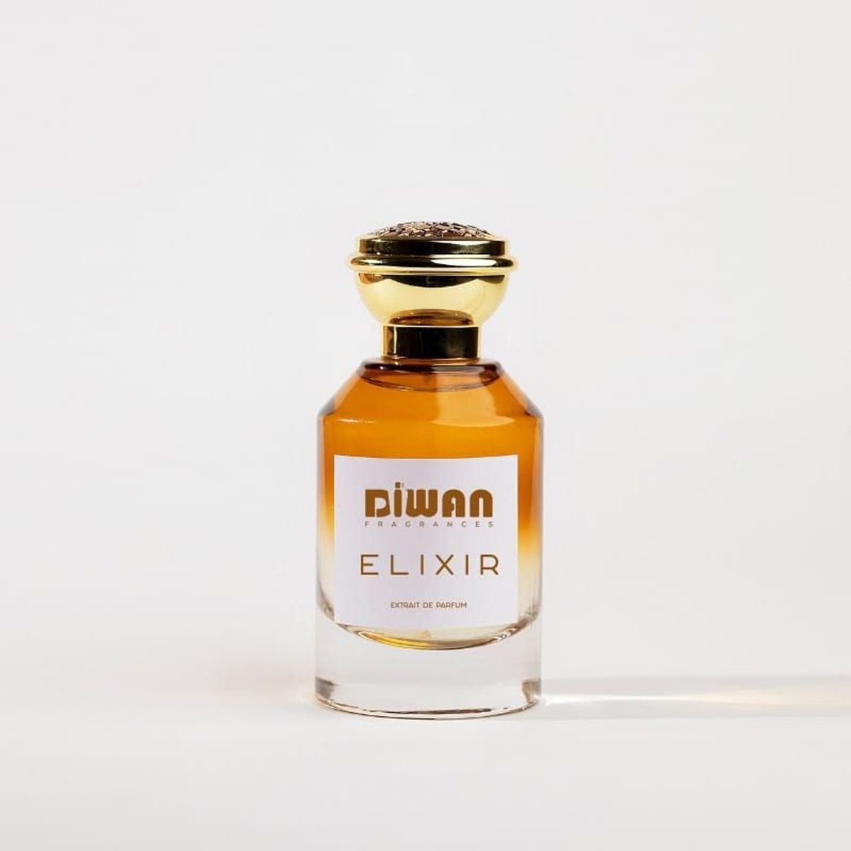 ELIXIR