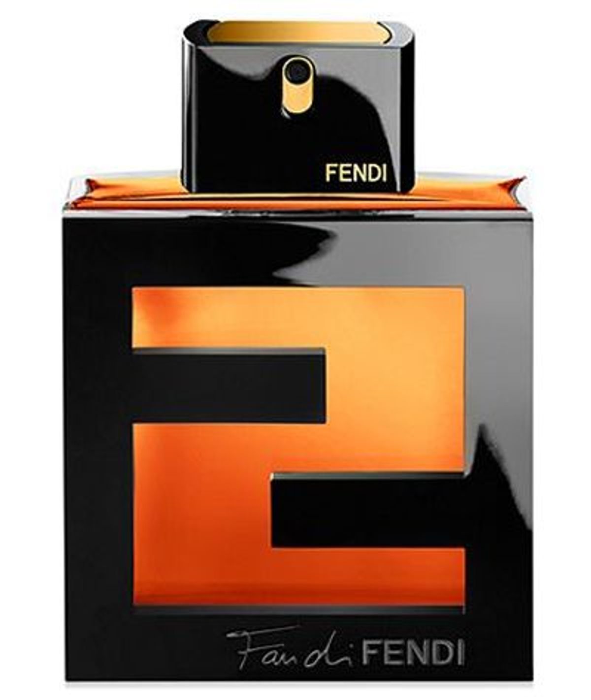 Fan di Fendi Pour Homme Assoluto