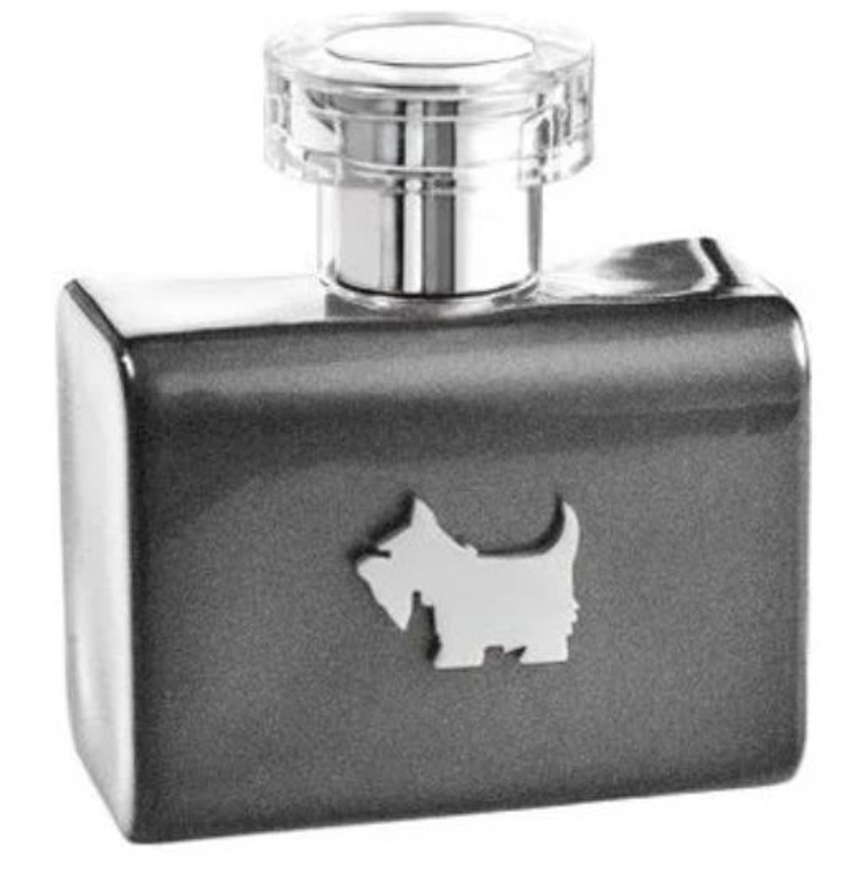 Terrier Grey