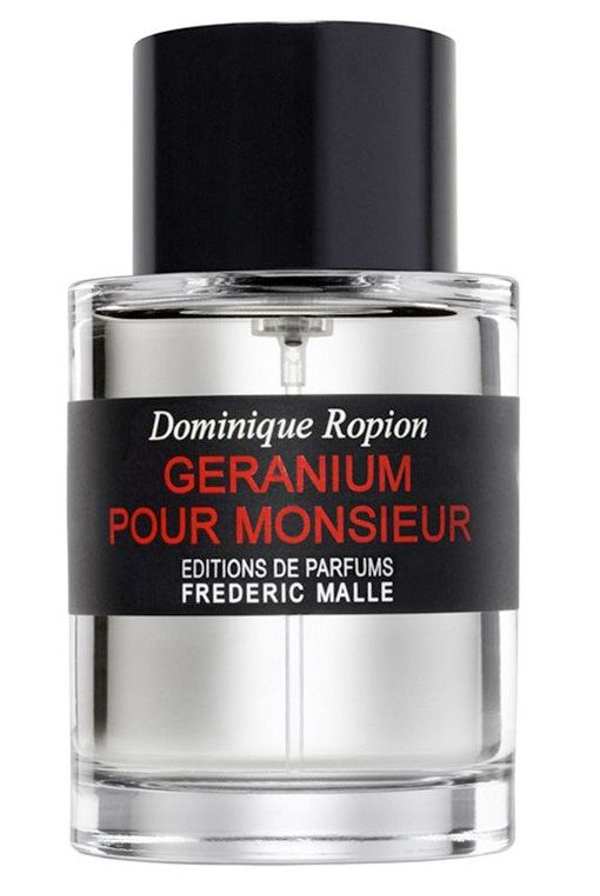 Geranium Pour Monsieur