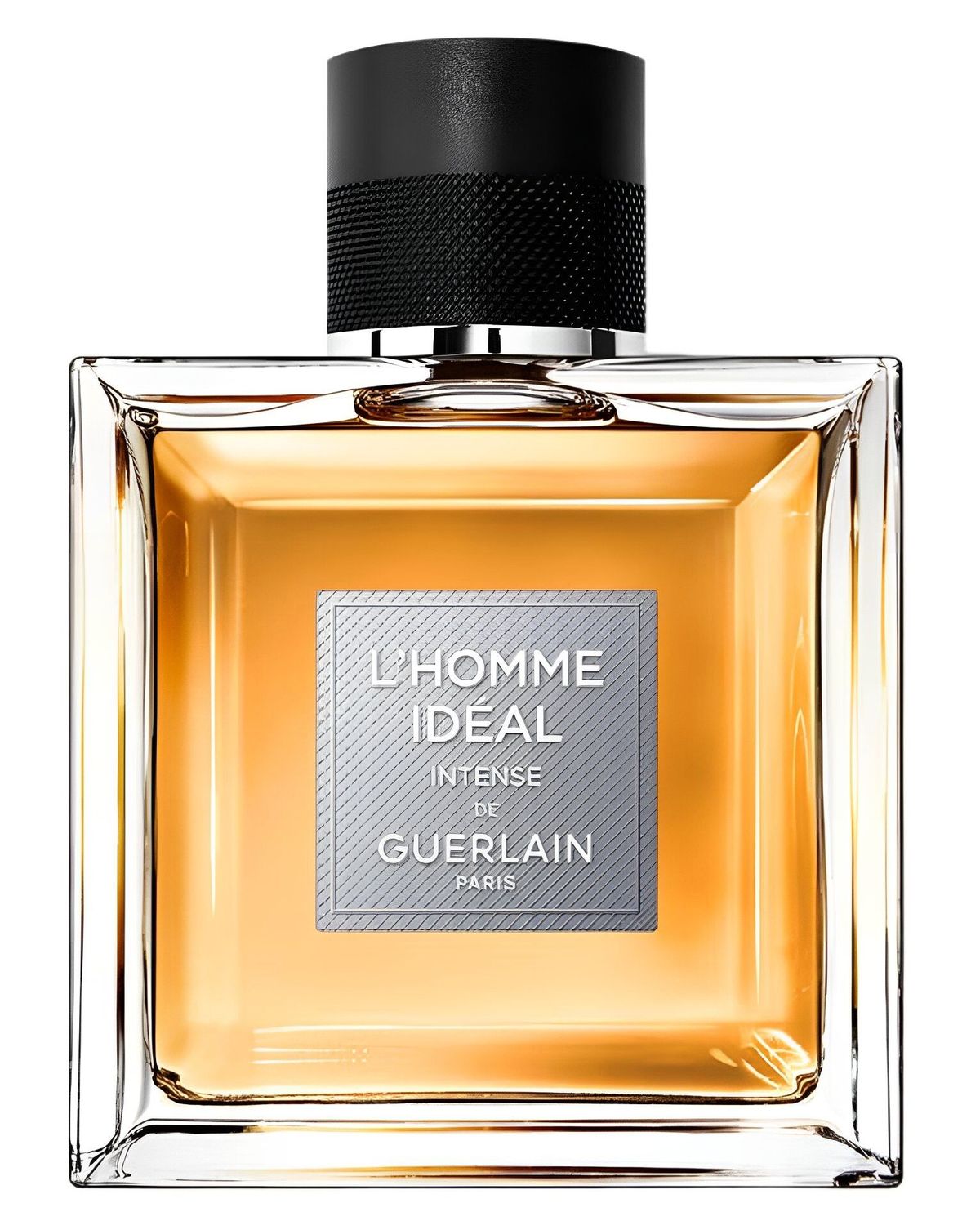 L'Homme Idéal L'Intense