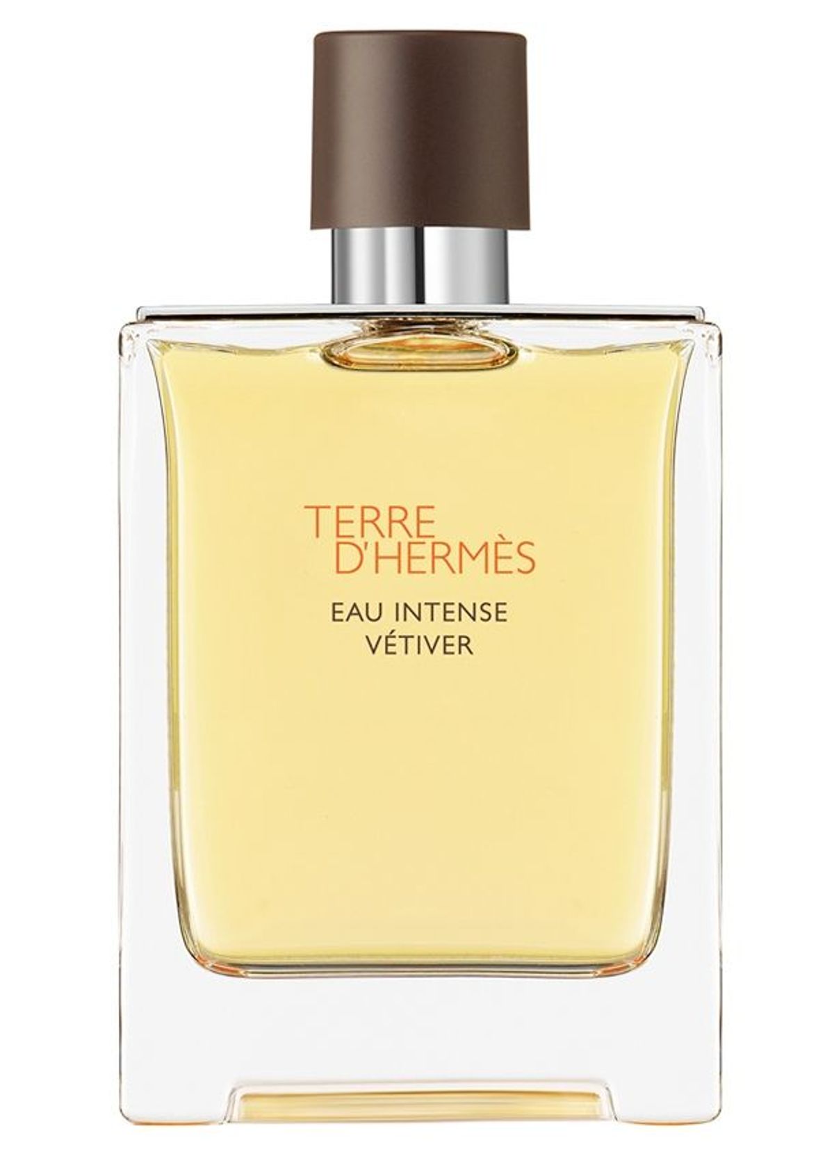 Terre D'Hermes Eau Intense Vetiver