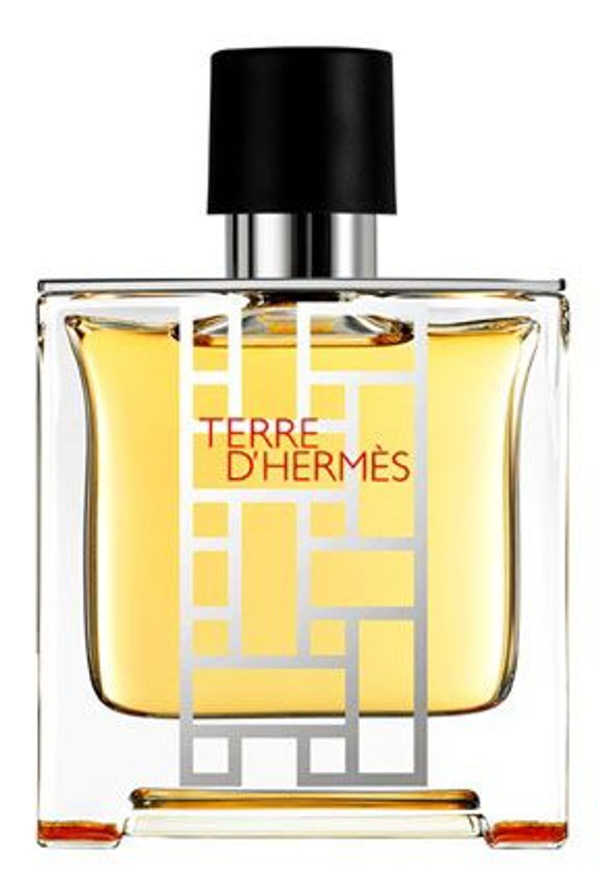 Terre d'Hermès flacon H 2013