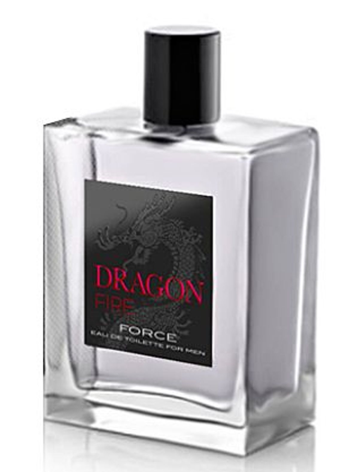 Dragon Fire Force