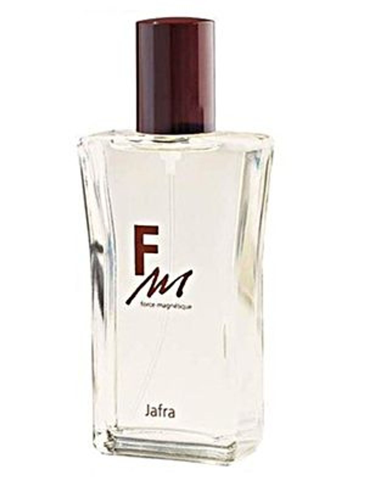 FM Force Magnétique
