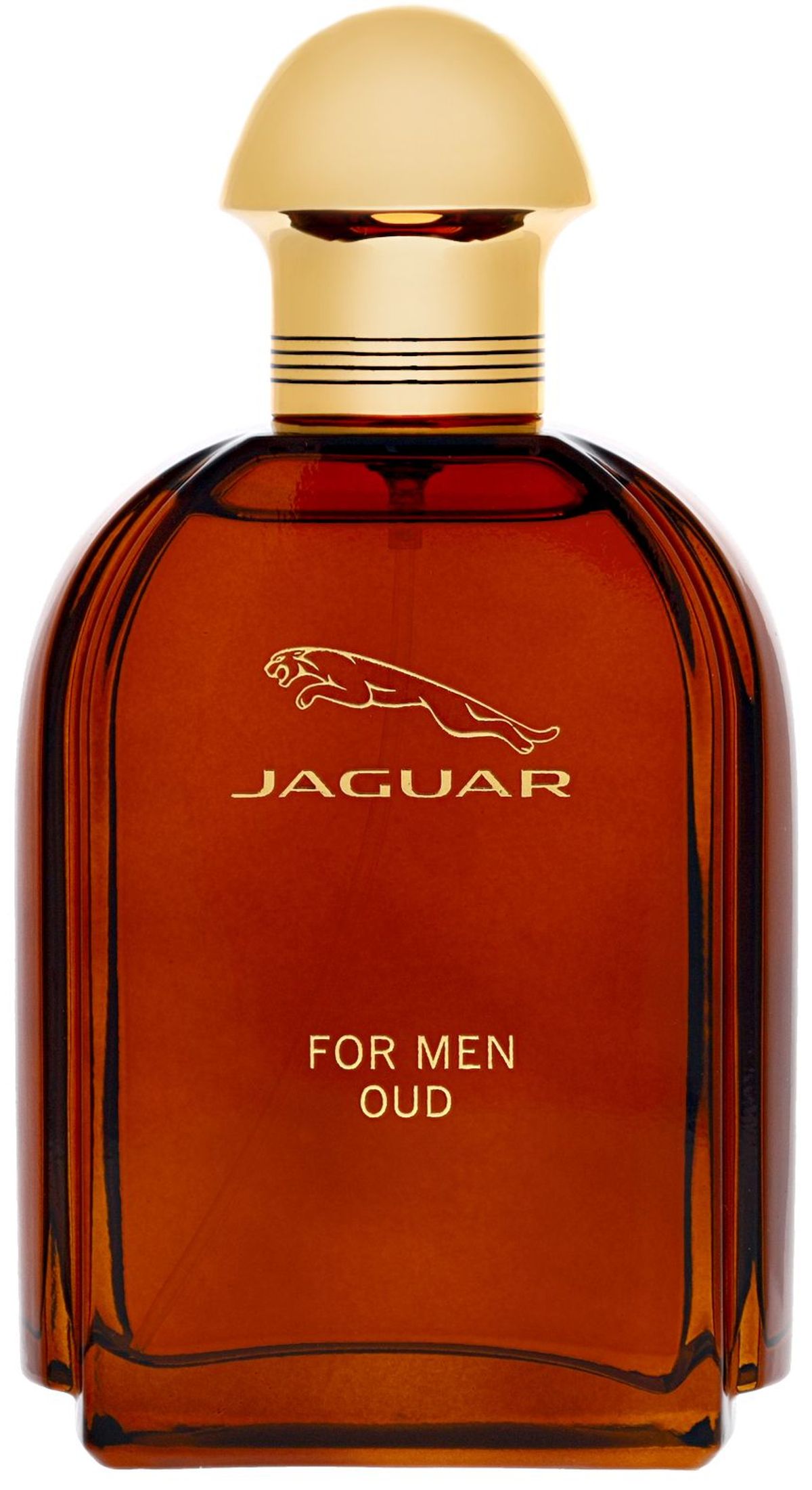 Jaguar For Men Oud