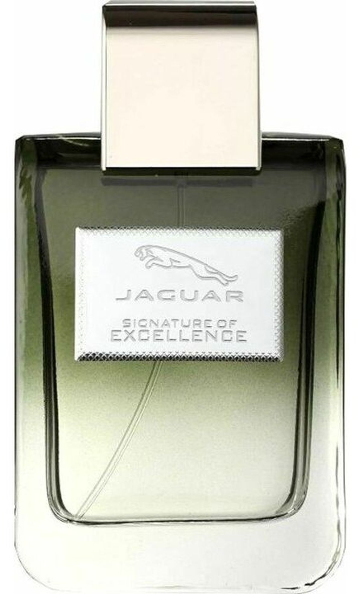 Jaguar Signature of Excellence