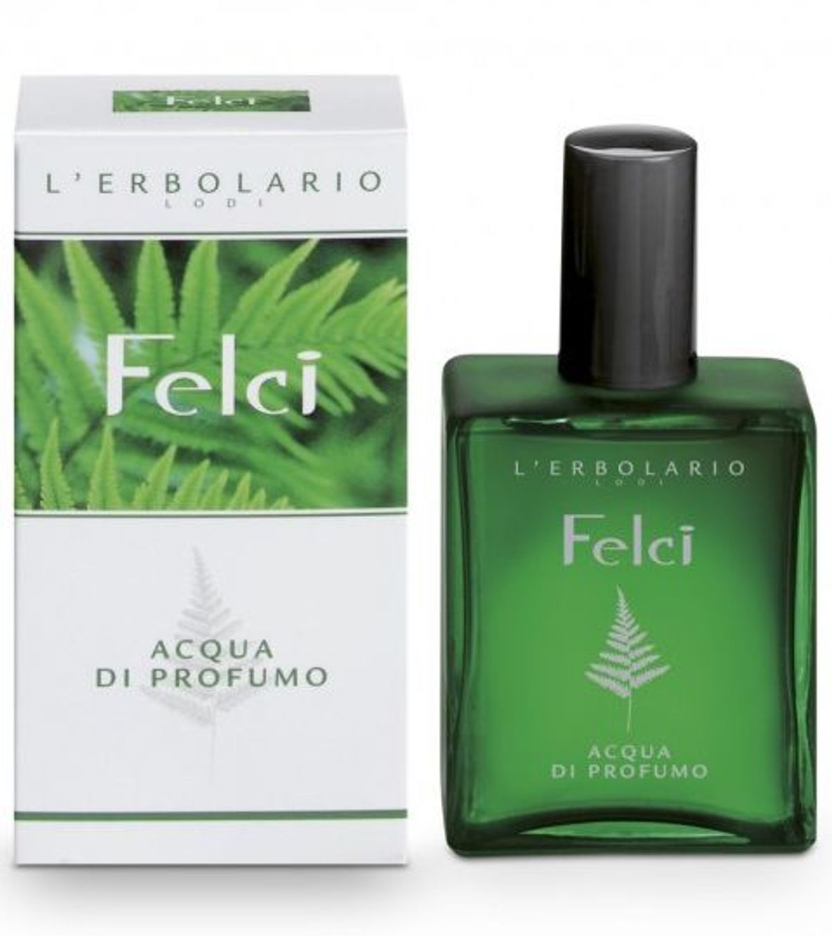 Felci