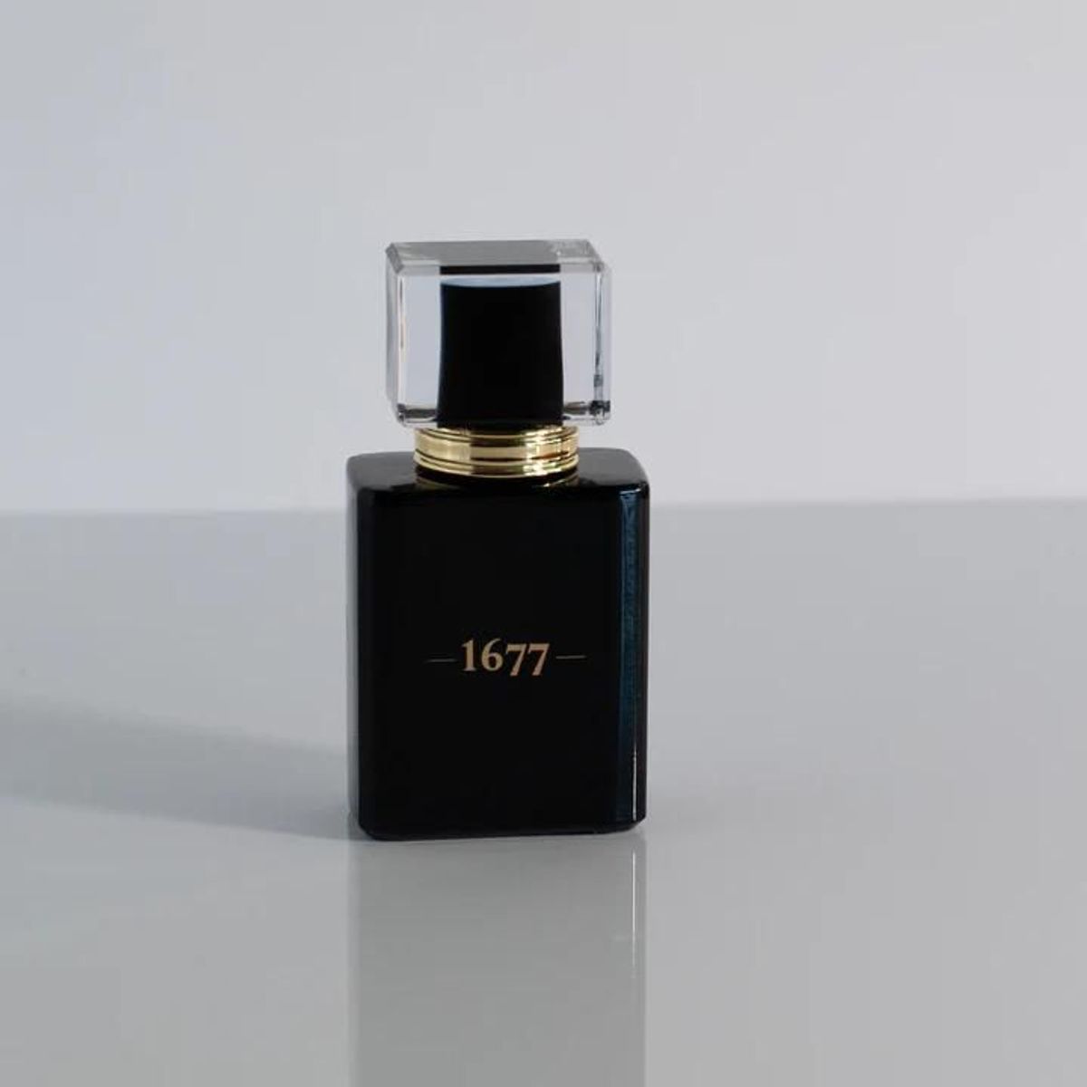 Gentlemen 1677