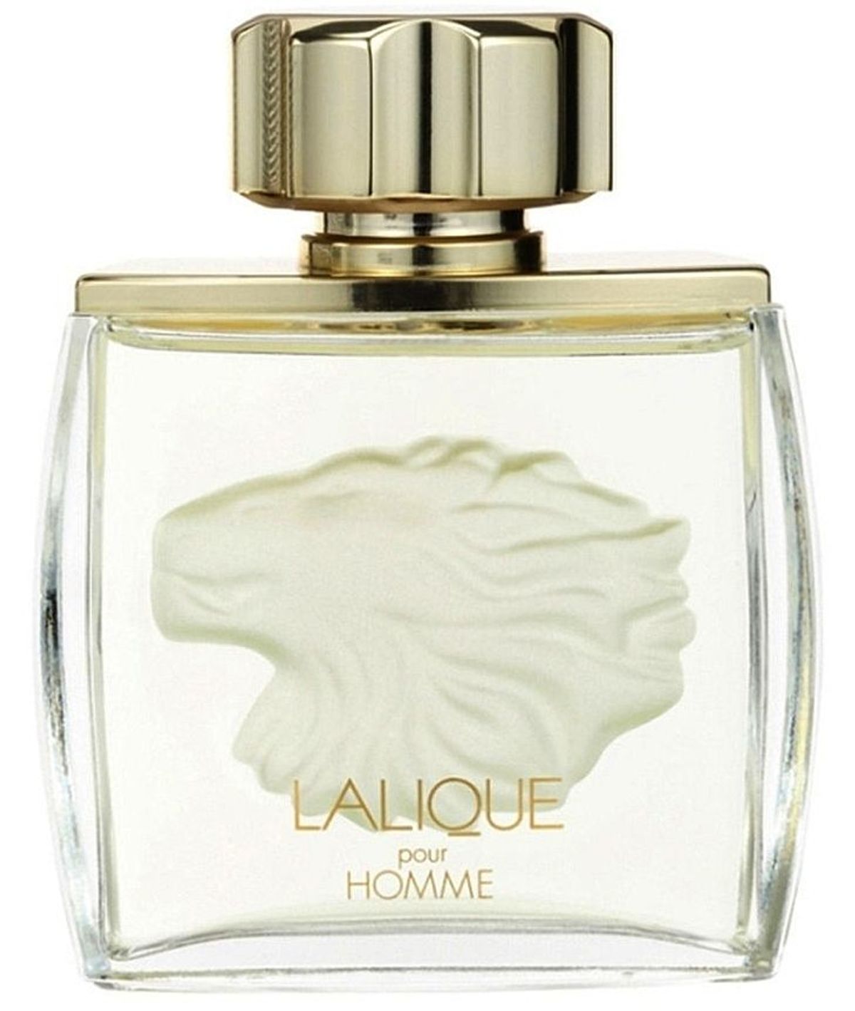 Lalique Pour Homme