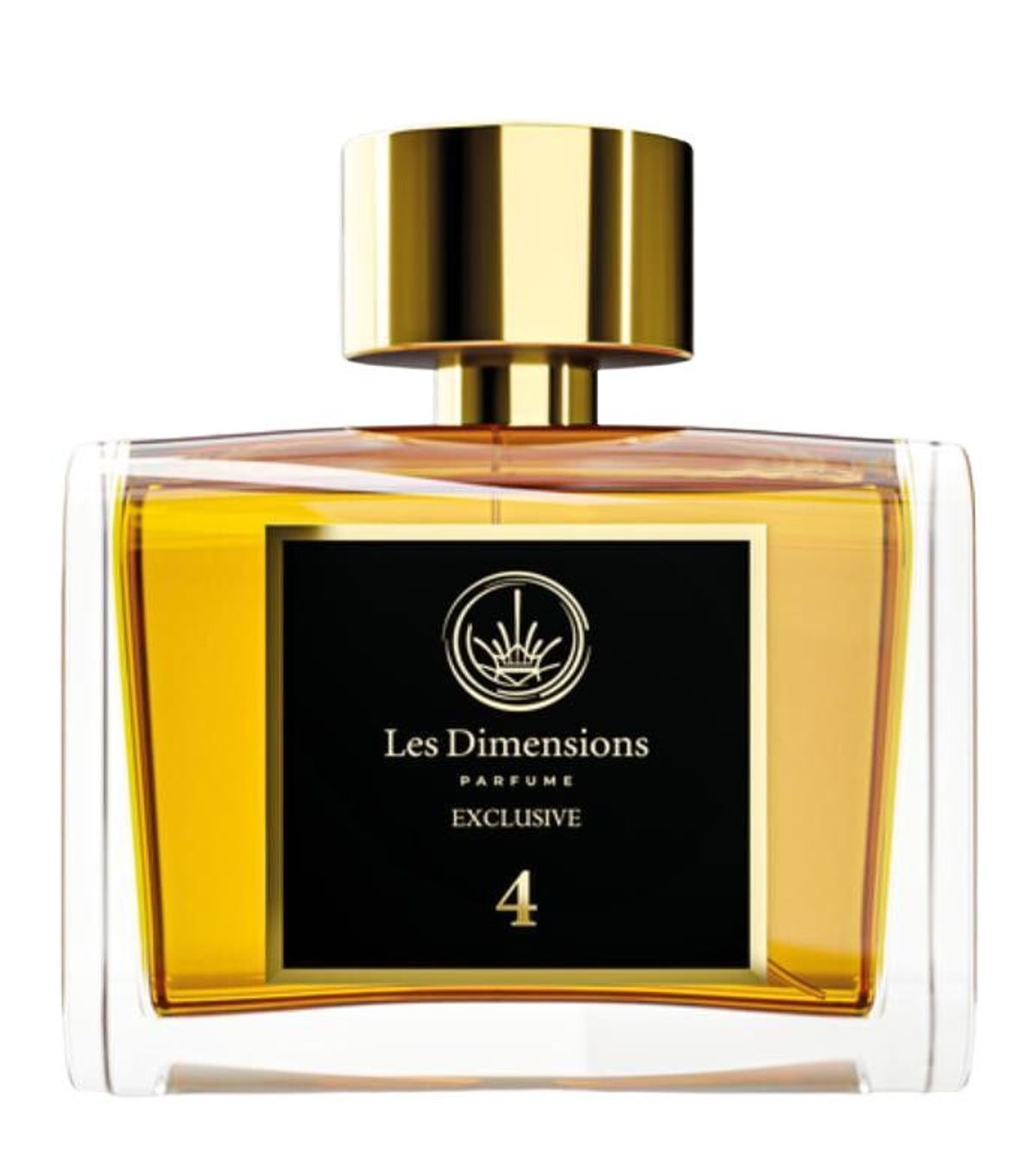 Dimension 4 - Vainqueur