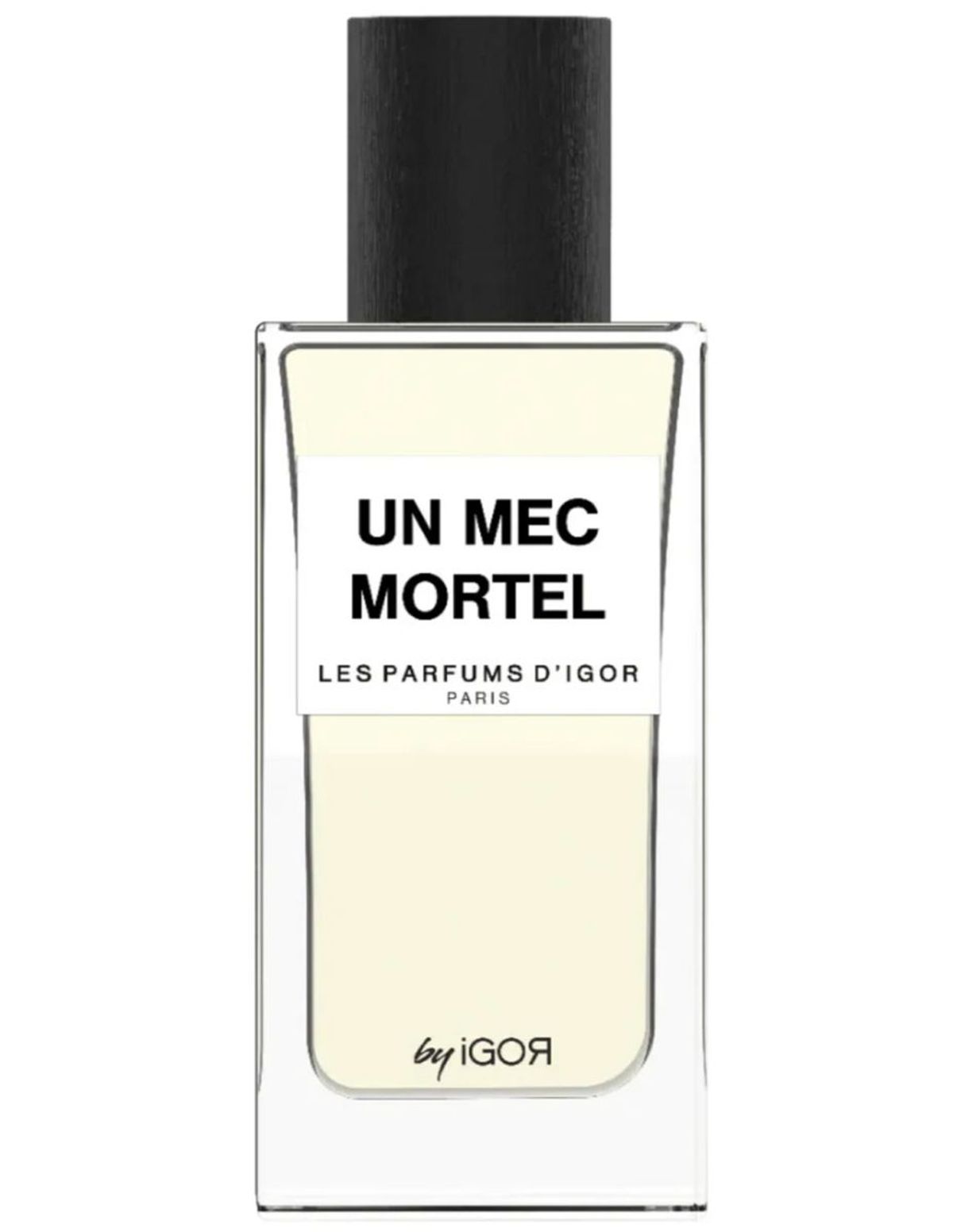 Un Mec Mortel