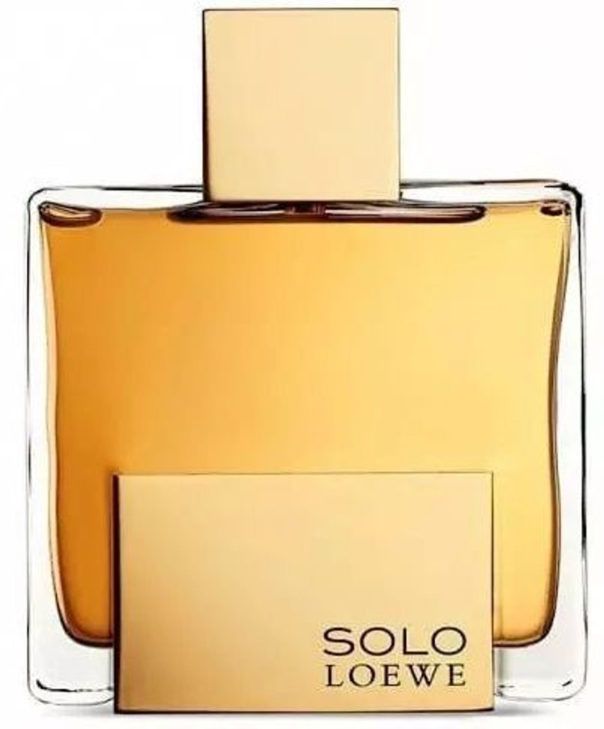Solo Loewe Absoluto