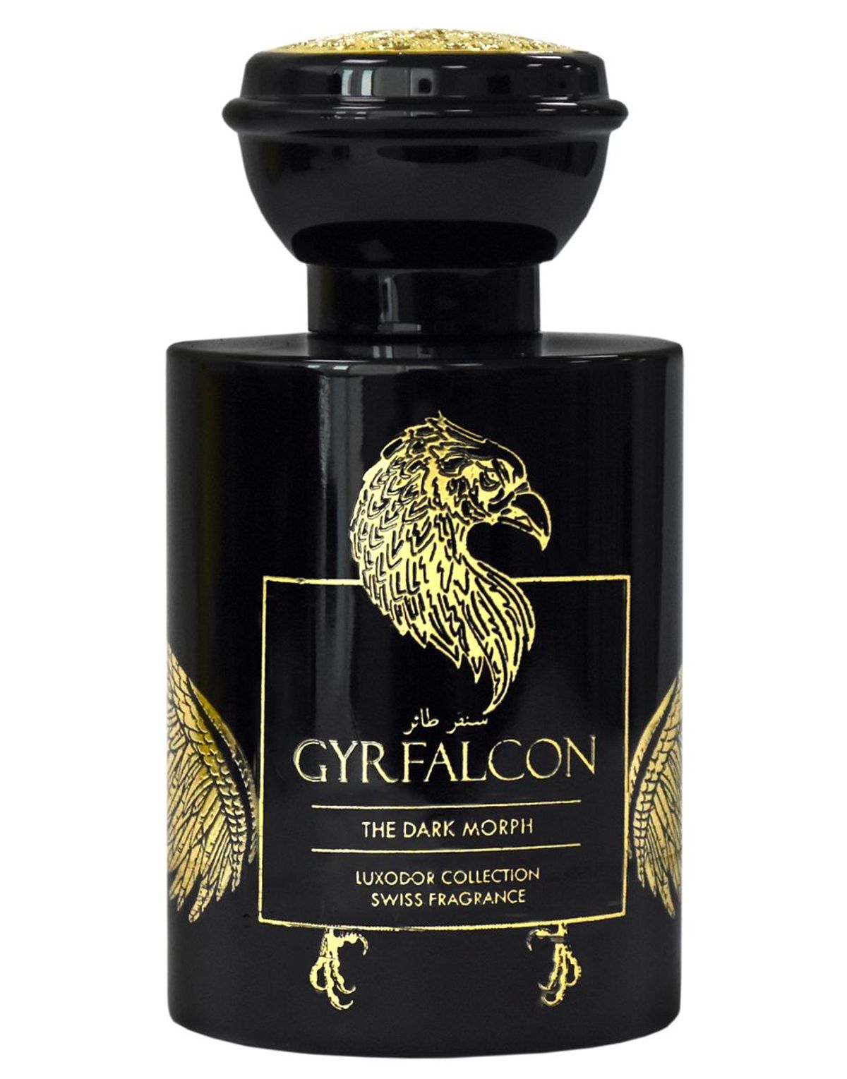 GyrFalcon The Dark Morph