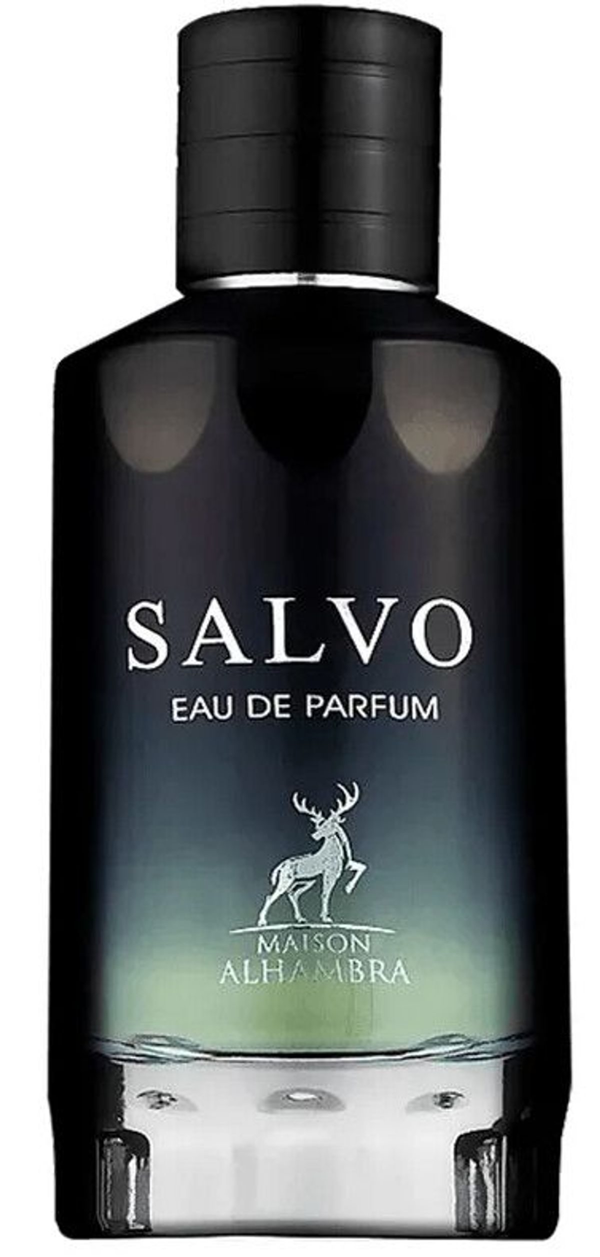 Salvo