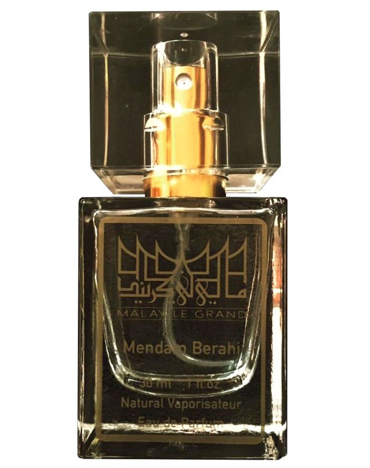 Mendam Berahi