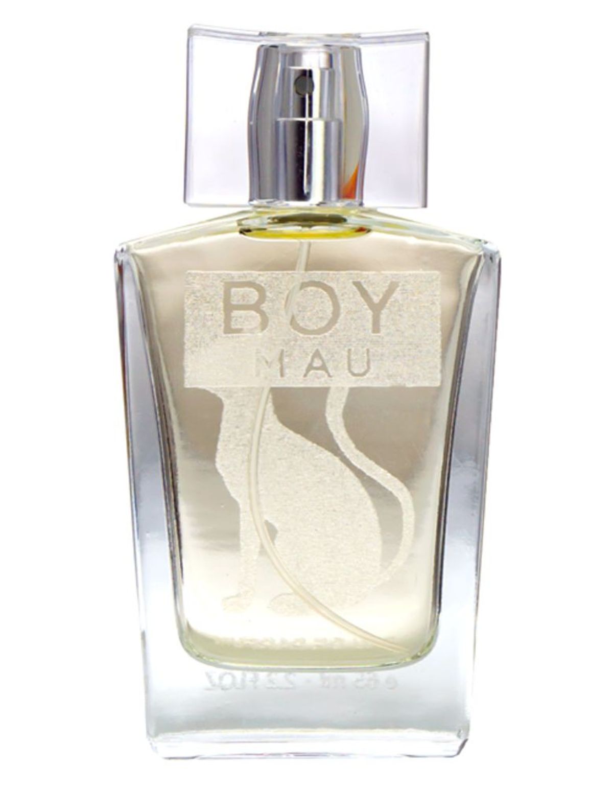 Boy