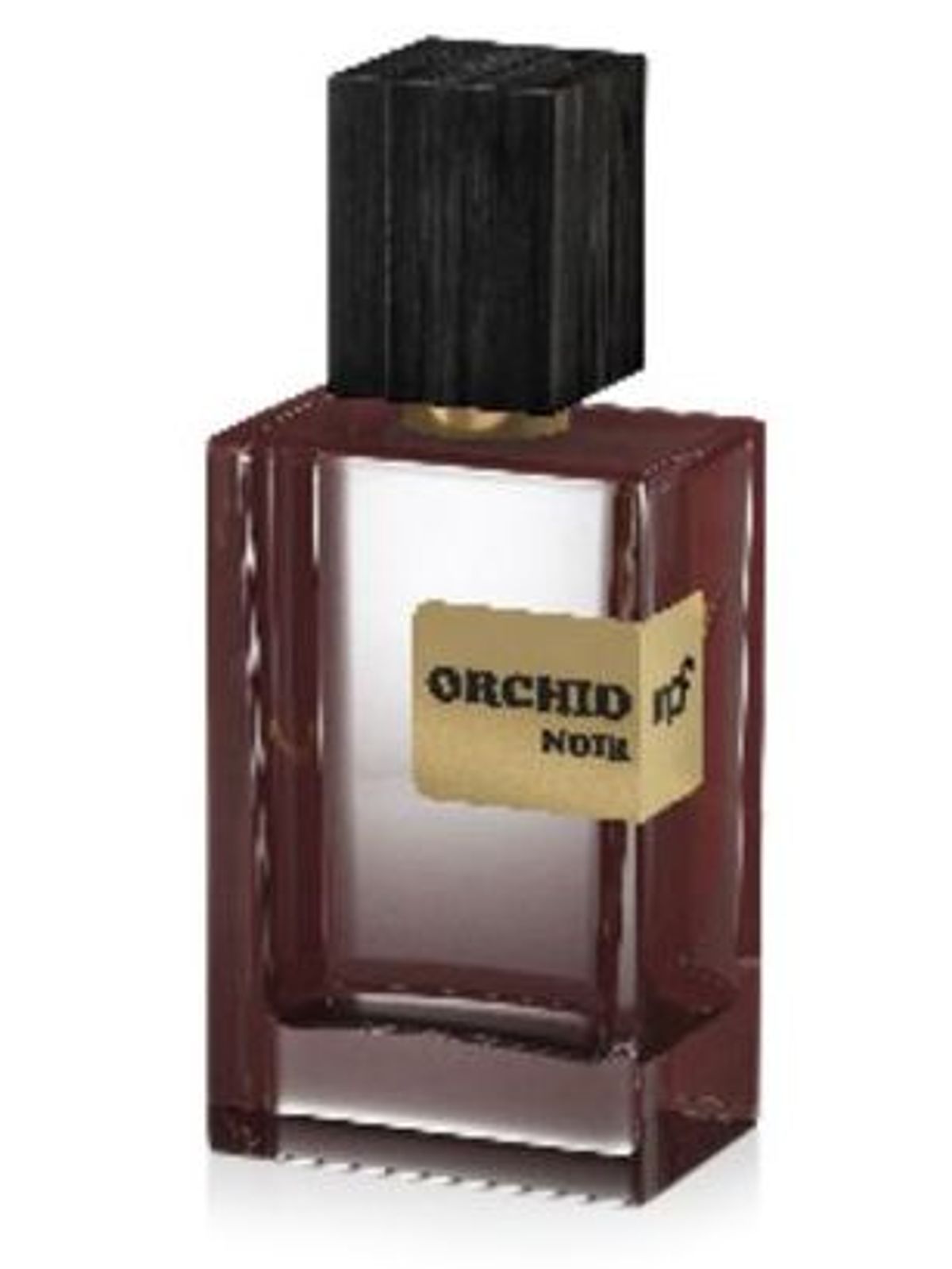 Orchid Noir