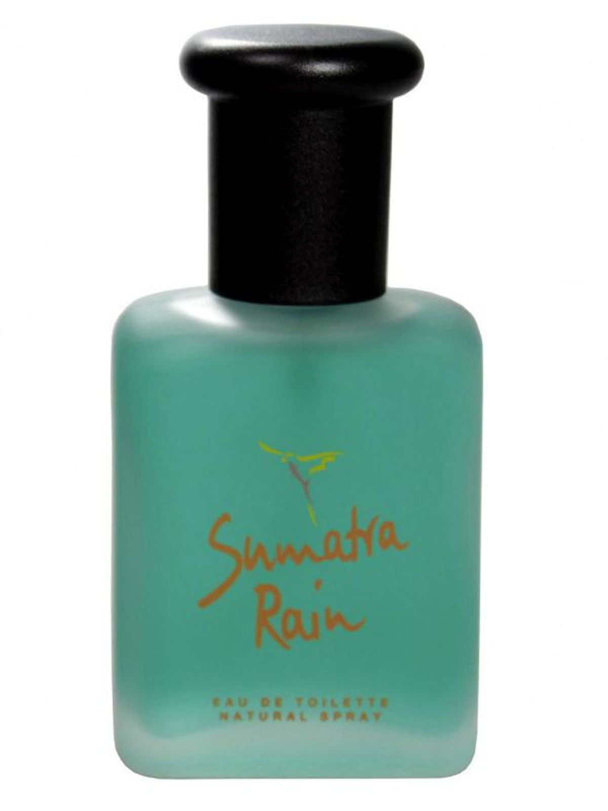 Sumatra Rain