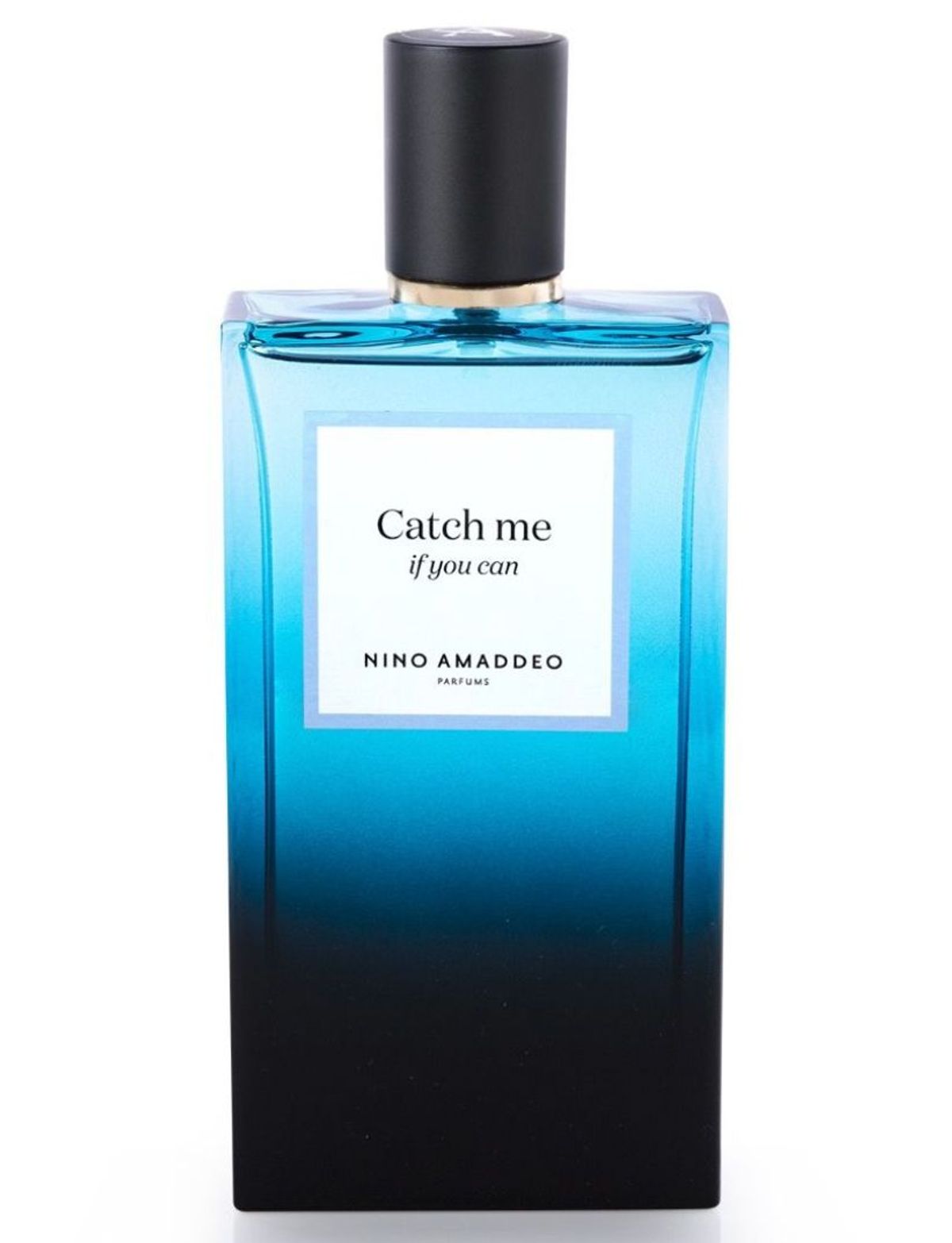 Catch Me If You Can