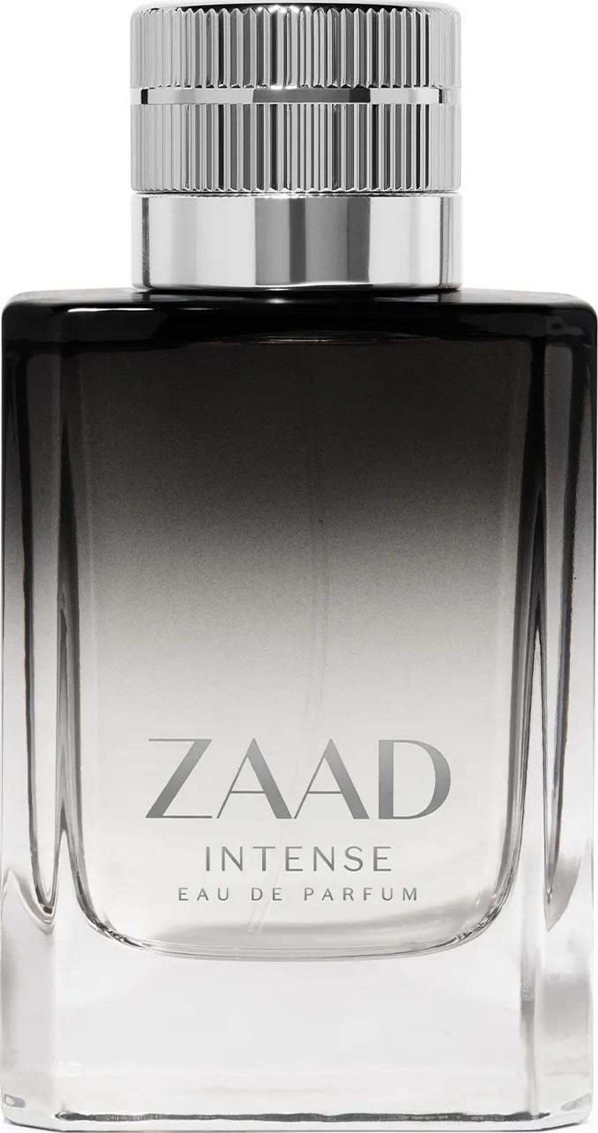 Zaad Intense