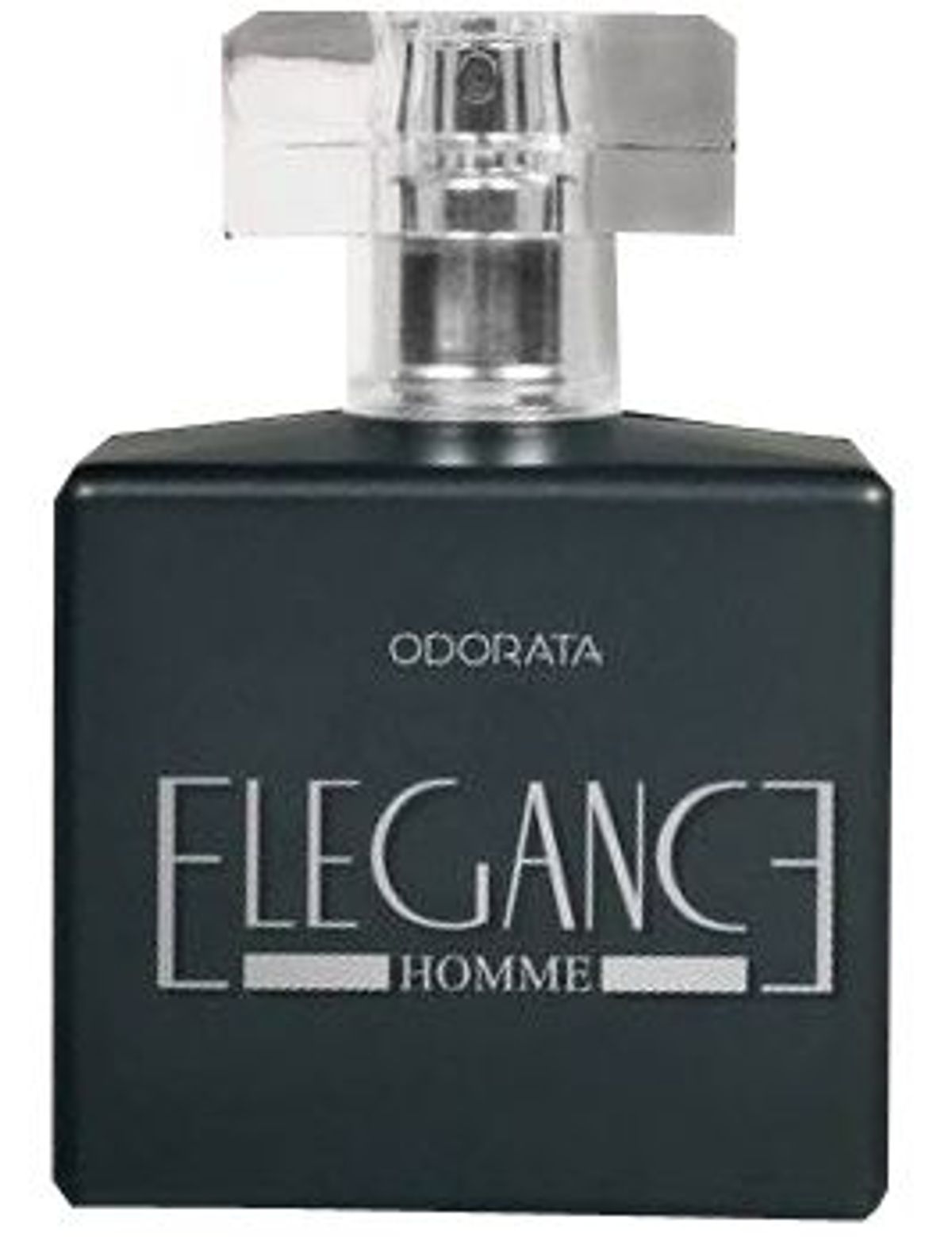 Elegance Homme