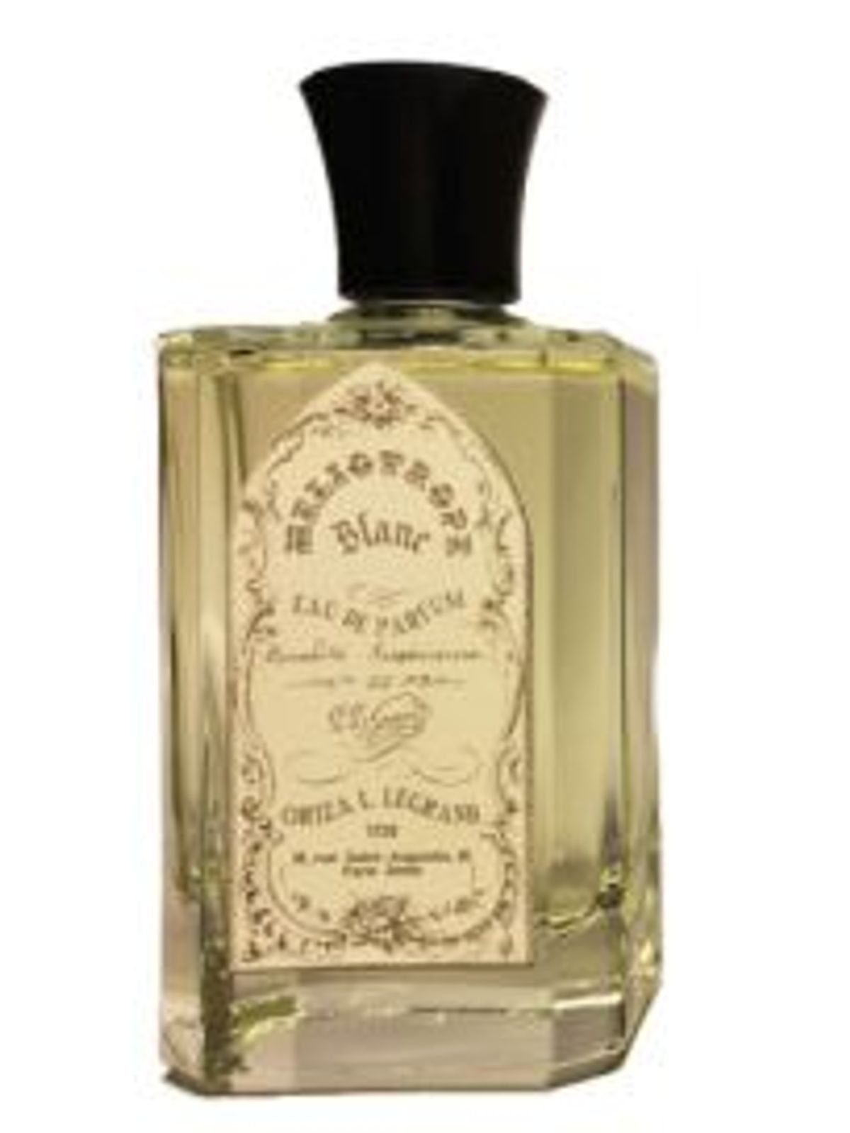 Heliotrope Blanc