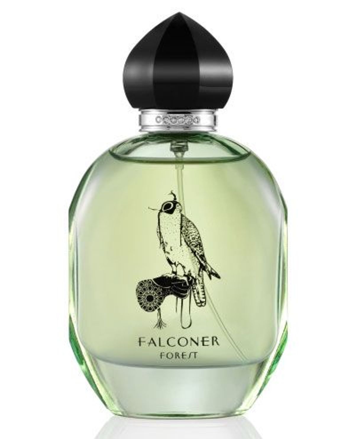 Falconer Forest