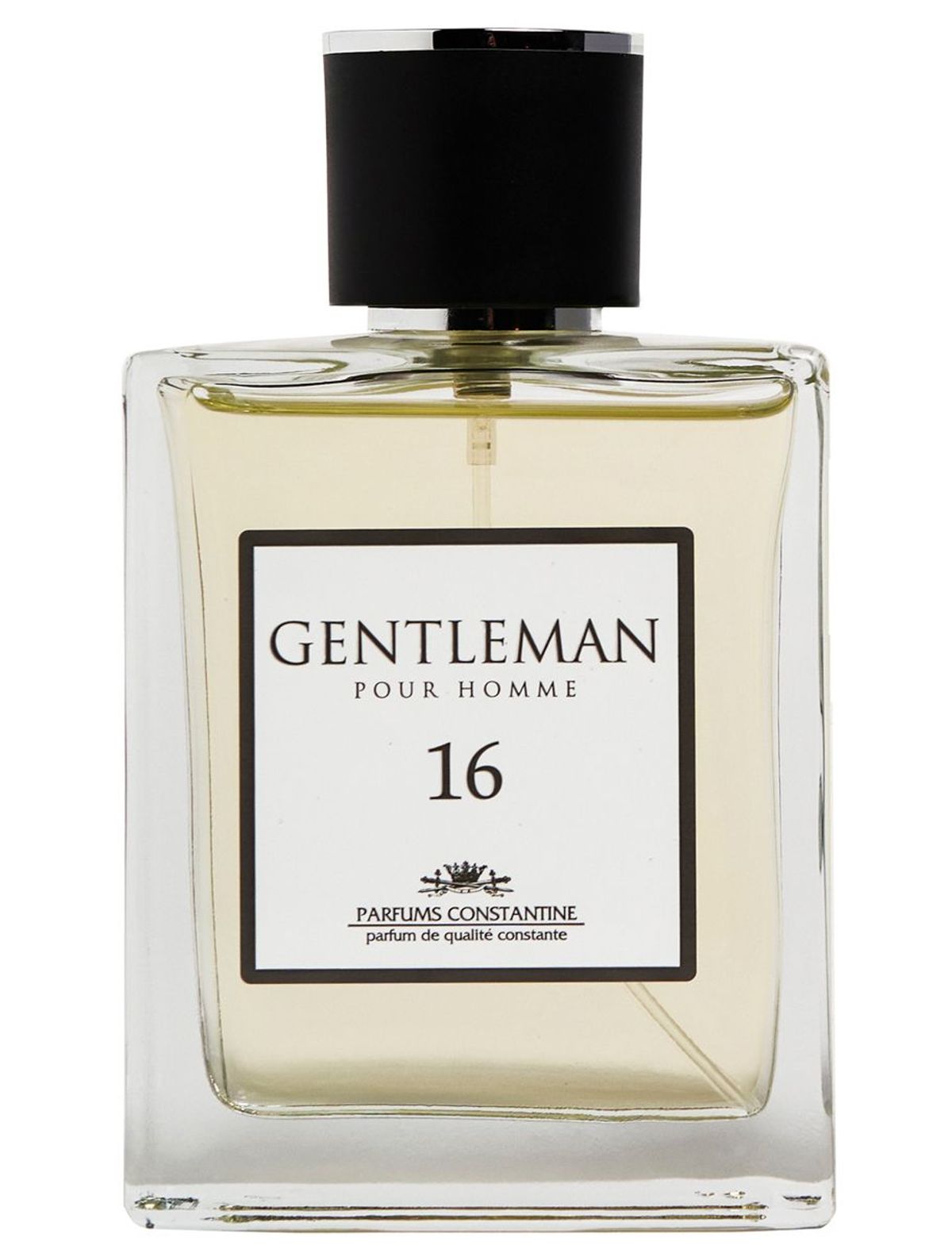 Gentleman N. 16