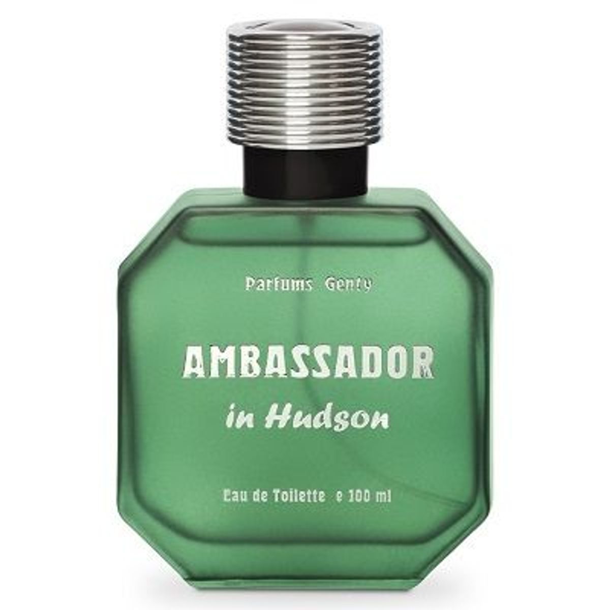 Ambassador in Hudson