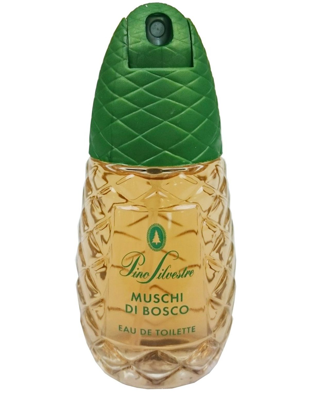 Pino Silvestre Muschi Di Bosco