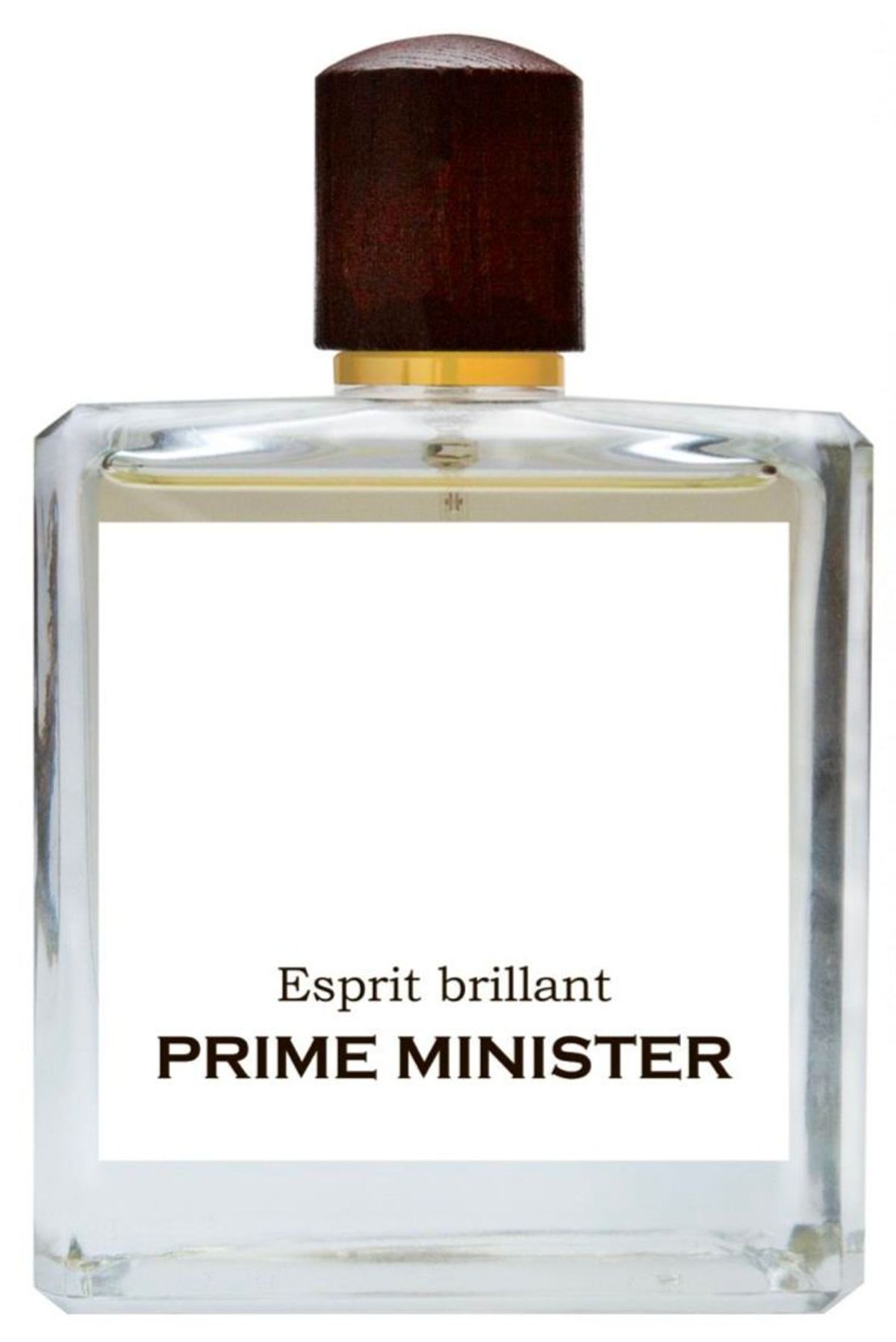 Esprit brillant